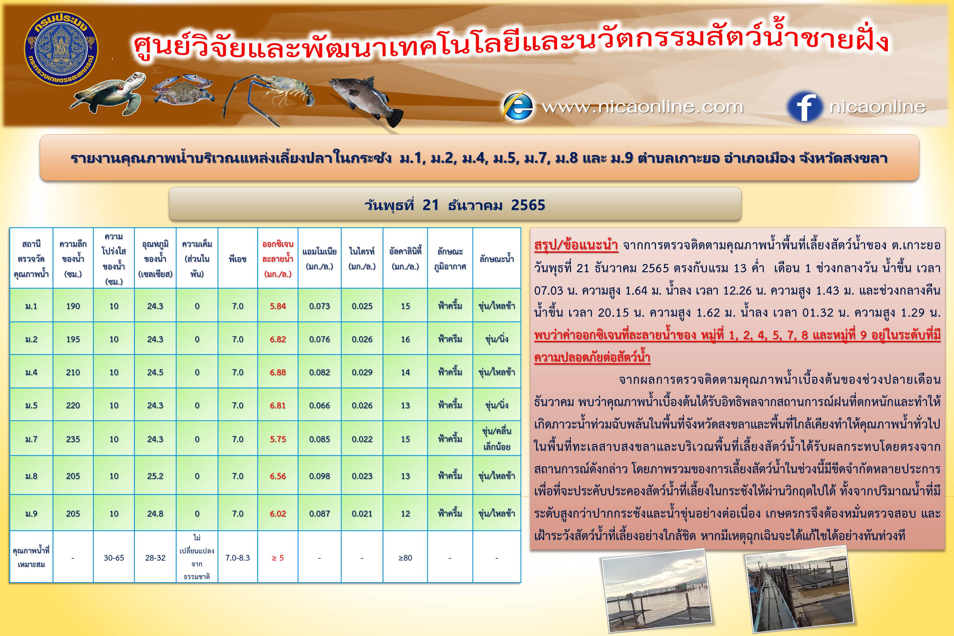 รายงานคุณภาพน้ำ ตำบลเกาะยอ อำเภอเมือง จังหวัดสงขลา 21 ธันวาคม 2565..คลิก