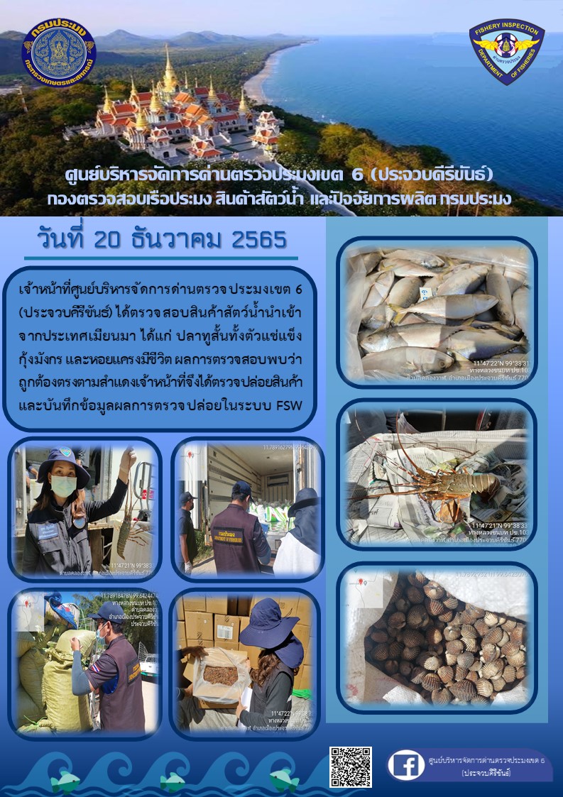 ตรวจสอบสินค้าสัตว์น้ำนำเข้าจากประเทศเมียนมา..คลิก