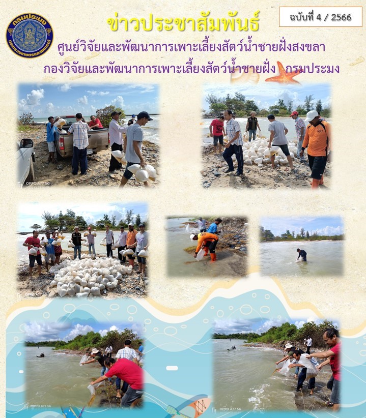 ศูนย์วิจัยและพัฒนาการเพาะเลี้ยงสัตว์น้ำชายฝั่งสงขลาได้มอบพันธุ์กุ้งกุลาดำ ขนาด PL26 ให้แก่สมาคมประมงพื้นบ้านหัวไทร เพื่อปล่อยบริเวณชายฝั่งทะเลอ่าวไทย..คลิก