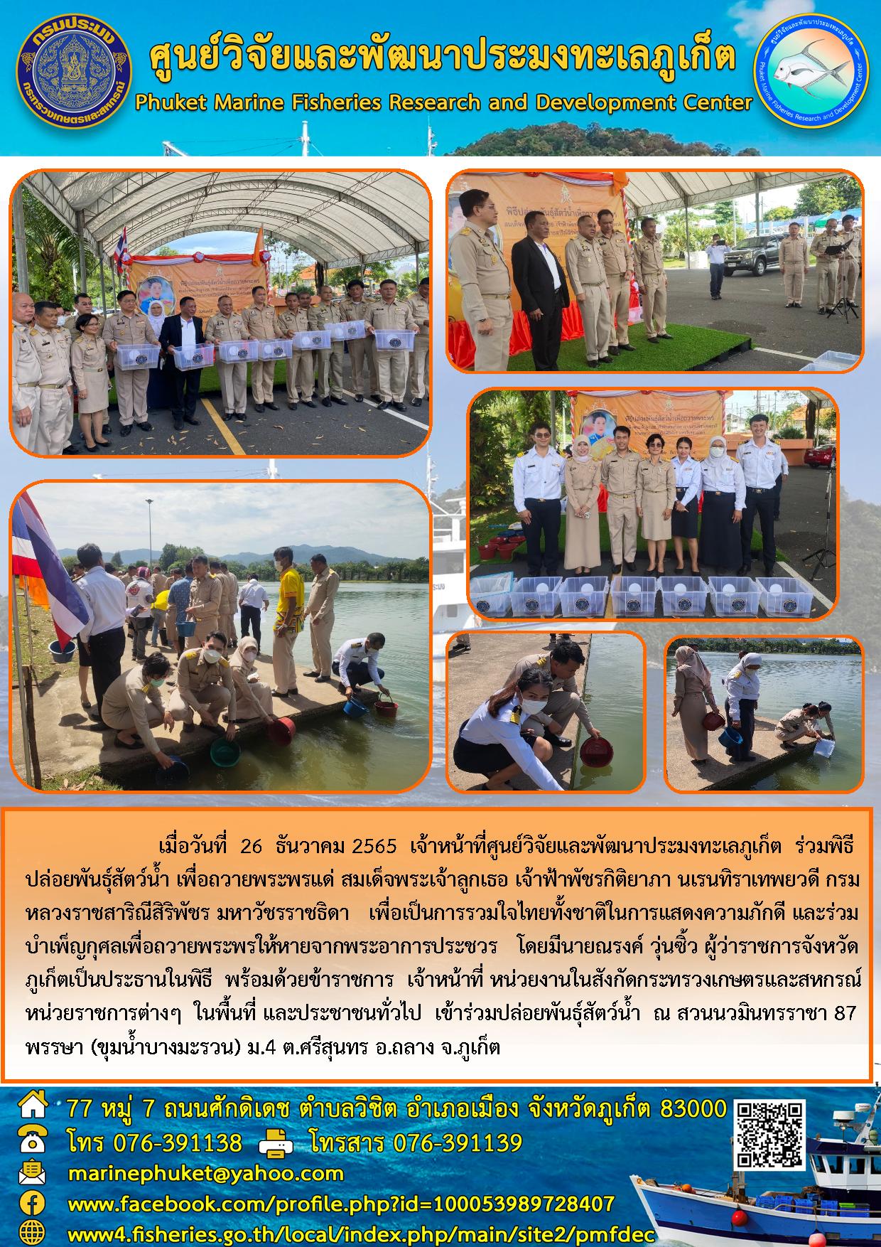 เมื่อวันที่ 26 ธันวาคม 2565 เจ้าหน้าที่ศูนย์วิจัยและพัฒนาประมงทะเลภูเก็ต ร่วมพิธีปล่อยพันธุ์สัตว์น้ำ เพื่อถวายพระพรแด่ สมเด็จพระเจ้าลูกเธอ เจ้าฟ้าพัชรกิติยาภา นเรนทิราเทพยวดี กรมหลวงราชสาริณีพัชร มหาวัชรราชธิดา เพื่อเป็นการรวมใจไทยทั้งชาติในการแสดงความภัคดี และร่วมบำเพ็ญกุศลเพื่อถวายพระพรให้หายจากพระอาการประชวร โดยมีนายณรงค์ วุ่นซิ้ว ผู้ว่าราชการจังหวัดภูเก็ตเป็นประธานในพิธี พร้อมด้วยข้าราชการ เจ้าหน้าที่ หน่วยงานในสังกัดกระทรวงเกษตรและสหกรณ์หน่วยราชการต่างๆ ในพื้นที่ และประชาชนทั่วไป เข้าร่วมปล่อยพันธุ์สัตว์น้ำ ณ สวนนวมินทรราชา 87 พรรษา (ขุนน้ำบางมะรวน) ม.4 ต.ศรีสุนทร อ.ถลาง จ.ภูเก็ต..คลิก