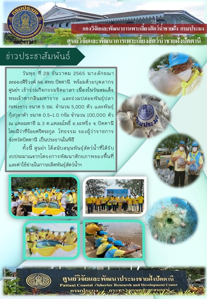 กิจกรรมจิตอาสา เนื่องในวันสมเด็จพระเจ้าตากสินมหาราช 28 ธันวาคม 2565..คลิก