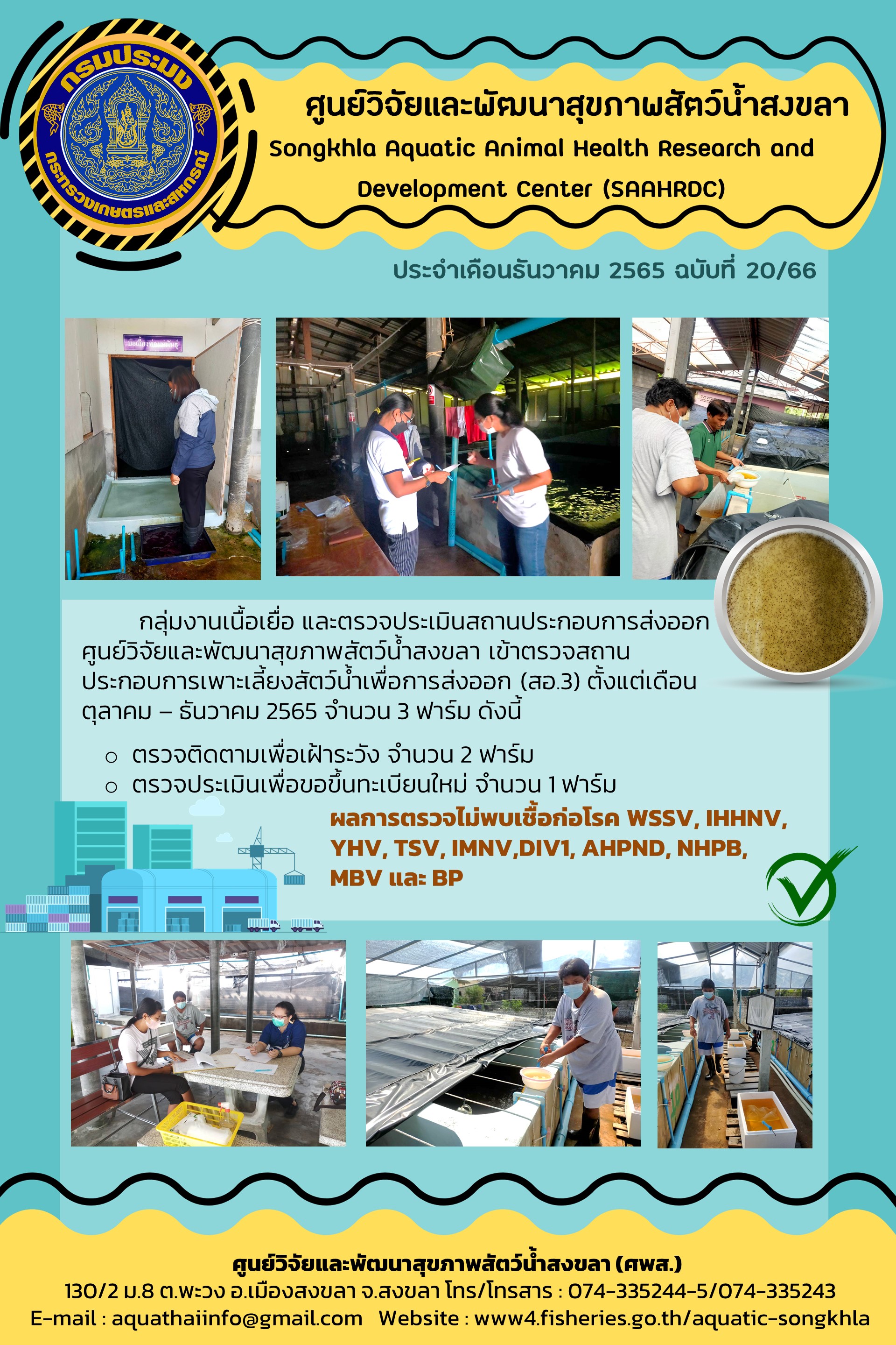 ฉบับที่ 20/66 ศูนย์วิจัยและพัฒนาสุขภาพสัตว์นํ้าสงขลา เข้าตรวจสถานประกอบการเพาะเลี้ยงสัตว์นํ้าเพื่อการส่งออก ตั้งแต่เดือนตุลาคม-ธันวาคม 2565 จำนวน 3 ฟาร์ม..คลิก