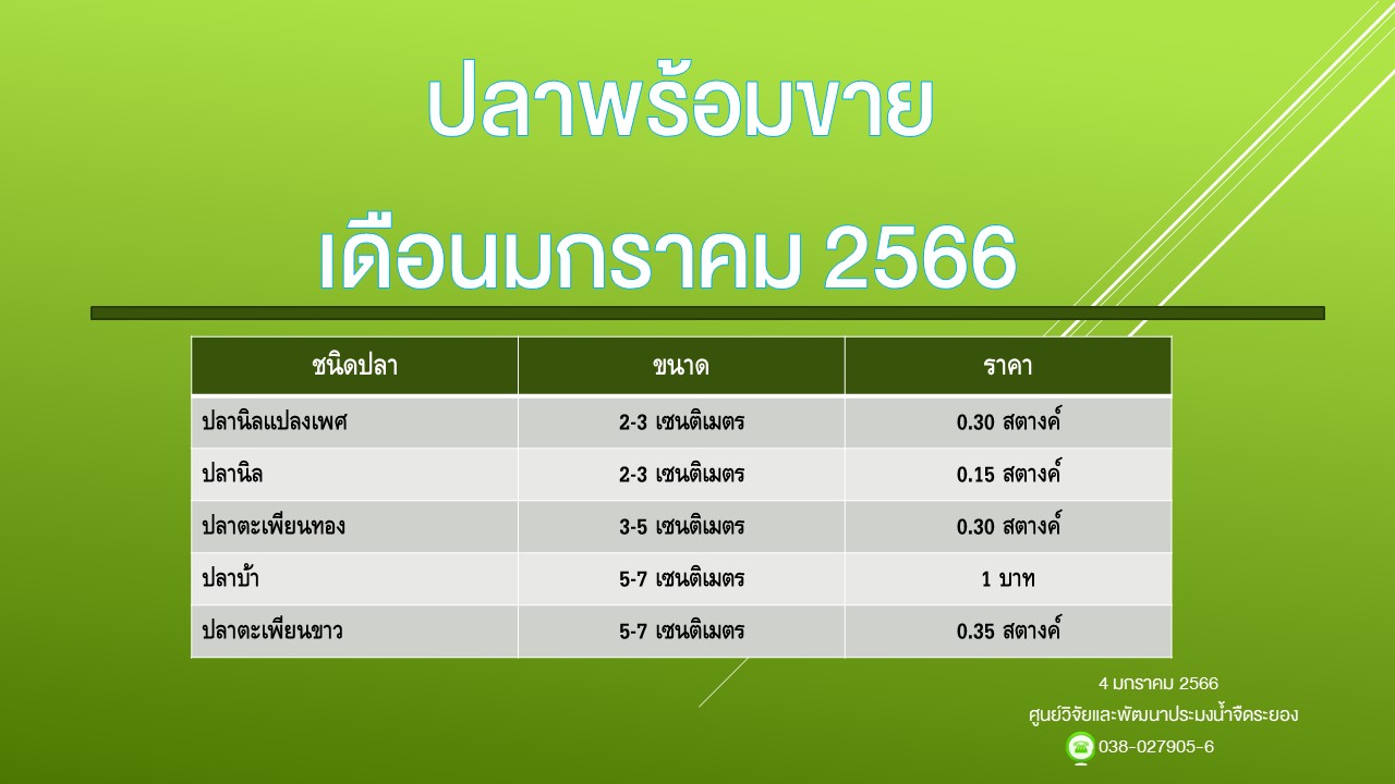ปลาพร้อมขาย วันที่ 4 มกราคม 2566..คลิก