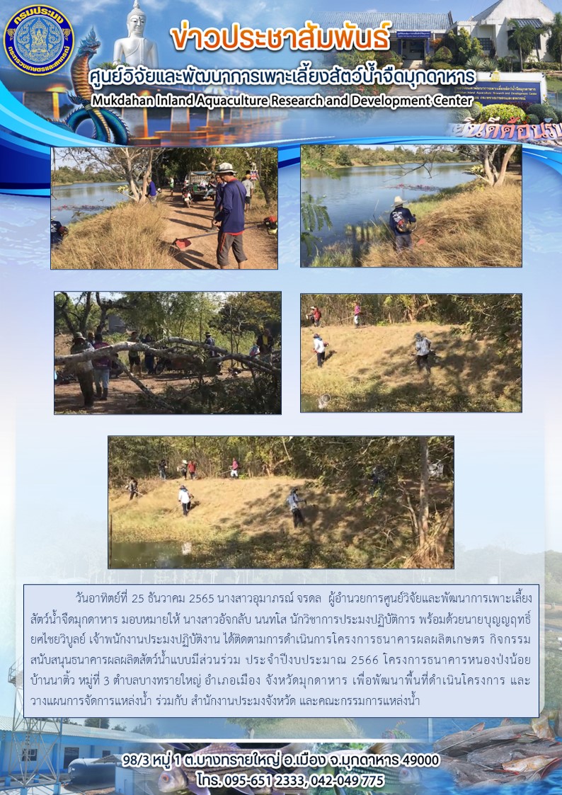 ติดตามการดำเนินการโครงการธนาคารผลผลิตเกษตร กิจกรรมสนับสนุนธนาคารผลผลิตสัตว์น้ำแบบมีส่วนร่วม ประจำปีงบประมาณ 2566 โครงการธนาคารหนองป่งน้อย   บ้านนาติ้ว หมู่ที่ 3 ตำบลบางทรายใหญ่ อำเภอเมือง จังหวัดมุกดาหาร..คลิก