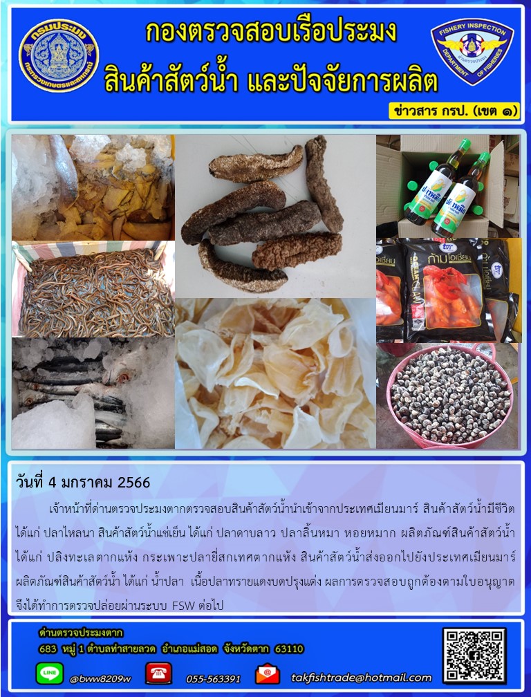 วันที่ 4 มกราคม 2566   	เจ้าหน้าที่ด่านตรวจประมงตากตรวจสอบสินค้าสัตว์น้ำนำเข้าจากประเทศเมียนมาร์ สินค้าสัตว์น้ำมีชีวิต ได้แก่ ปลาไหลนา สินค้าสัตว์น้ำแช่เย็น ได้แก่ ปลาดาบลาว ปลาลิ้นหมา หอยหมาก ผลิตภัณฑ์สินค้าสัตว์น้ำ       ได้แก่ ปลิงทะเลตากแห้ง กระเพาะปลายี่สกเทศตากแห้ง สินค้าสัตว์น้ำส่งออกไปยังประเทศเมียนมาร์ ผลิตภัณฑ์สินค้าสัตว์น้ำ ได้แก่ น้ำปลา  เนื้อปลาทรายแดงบดปรุงแต่ง ผลการตรวจสอบถูกต้องตามใบอนุญาต  จึงได้ทำการตรวจปล่อยผ่านระบบ FSW ต่อไป..คลิก