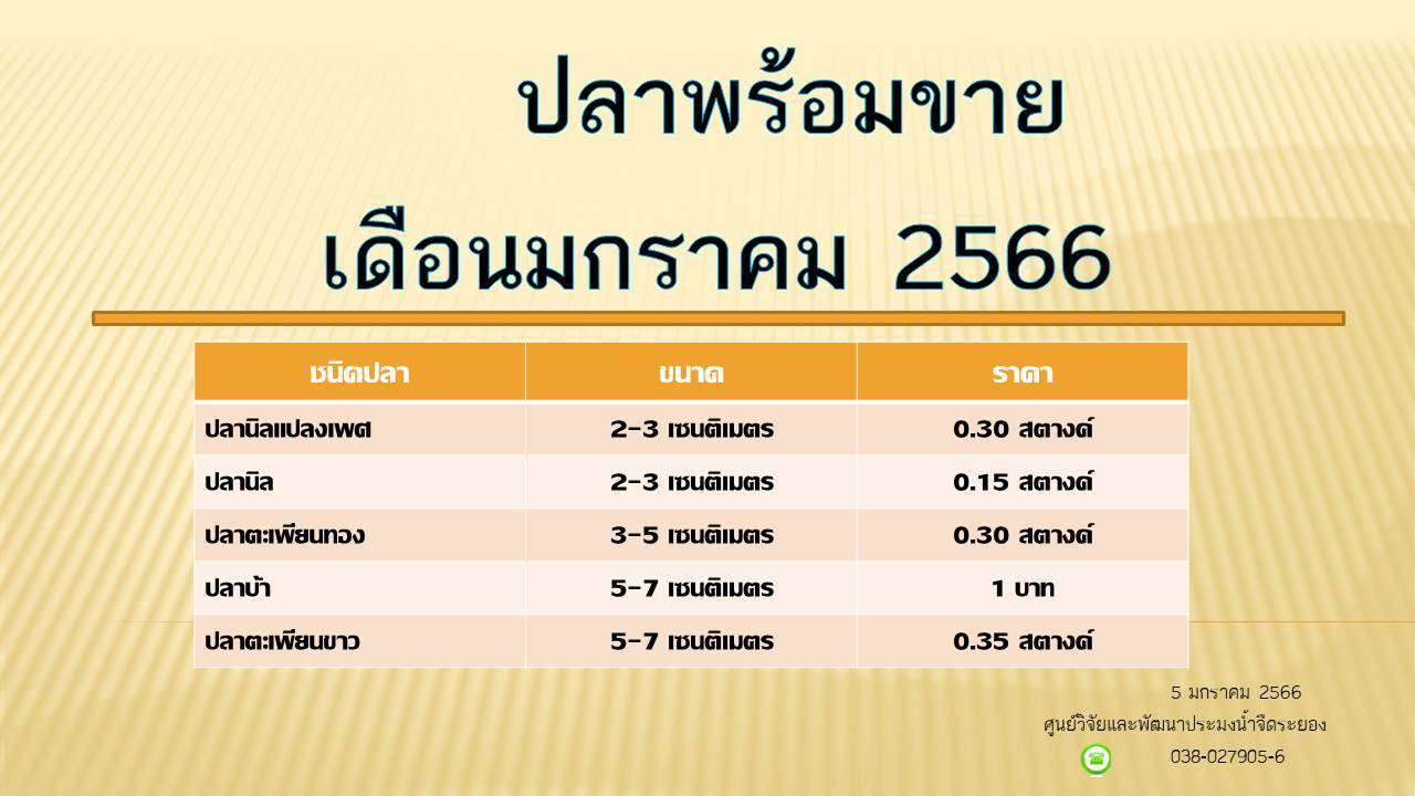 ปลาพร้อมขาย วันที่ 5 มกราคม 2566..คลิก