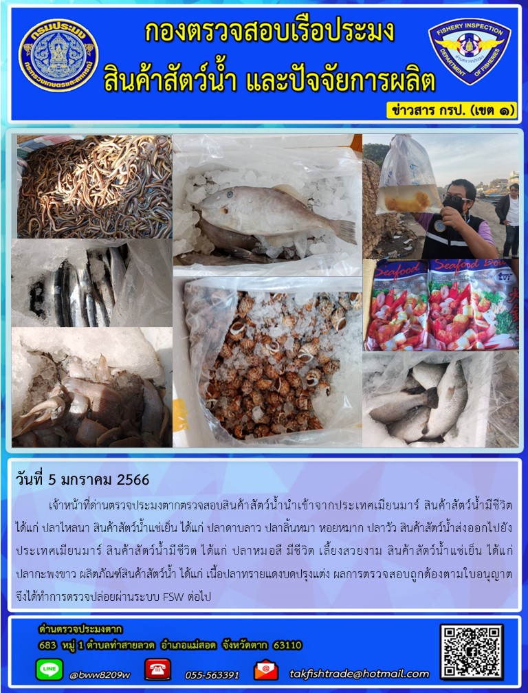 วันที่ 5 มกราคม 2566   	เจ้าหน้าที่ด่านตรวจประมงตากตรวจสอบสินค้าสัตว์น้ำนำเข้าจากประเทศเมียนมาร์ สินค้าสัตว์น้ำมีชีวิต ได้แก่ ปลาไหลนา สินค้าสัตว์น้ำแช่เย็น ได้แก่ ปลาดาบลาว ปลาลิ้นหมา หอยหมาก ปลาวัว สินค้าสัตว์น้ำส่งออกไปยังประเทศเมียนมาร์ สินค้าสัตว์น้ำมีชีวิต ได้แก่ ปลาหมอสี มีชีวิต เลี้ยงสวยงาม สินค้าสัตว์น้ำแช่เย็น ได้แก่ ปลากะพงขาว ผลิตภัณฑ์สินค้าสัตว์น้ำ ได้แก่ เนื้อปลาทรายแดงบดปรุงแต่ง ผลการตรวจสอบถูกต้องตามใบอนุญาต  จึงได้ทำการตรวจปล่อยผ่านระบบ FSW ต่อไป..คลิก