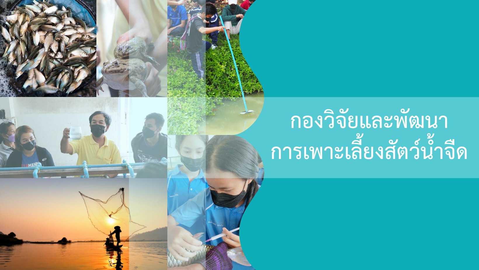 เข้าสู่เว็บไซต์กองวิจัยและพัฒนาการเพาะเลี้ยงสัตว์น้ำจืด