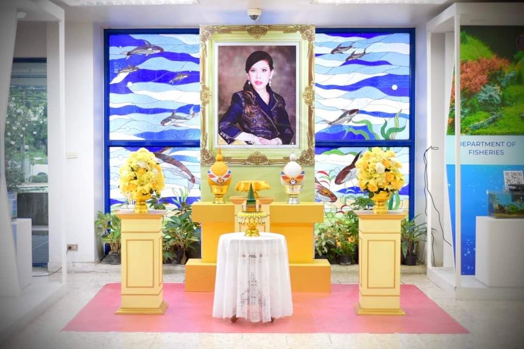 สมเด็จพระเจ้าน้องนางเธอ เจ้าฟ้าจุฬาภรณวลัยลักษณ์ อัครราชกุมารี กรมพระศรีสวางควัฒน วรขัตติยราชนารี พระราชทาน ส.ค.ส. เนื่องในโอกาสปีใหม่ พุทธศักราช ๒๕๖๖ ให้แก่กรมประมง..คลิก