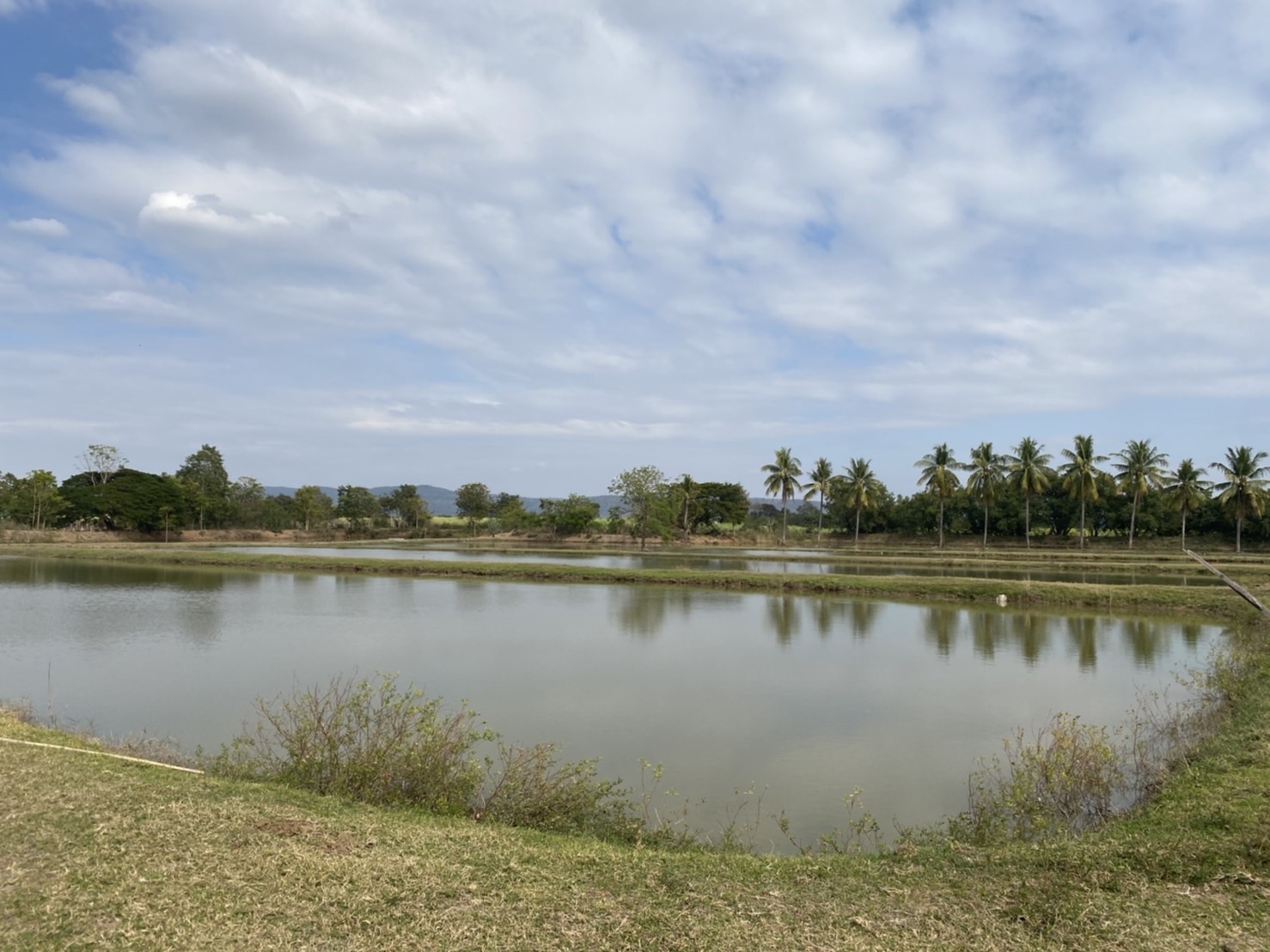 วันที่ 9 มกราคม 2566 เวลา 13.30 - 15.30 น. ลงพื้นที่ดำเนินการพิจารณาความพร้อม เพื่อพัฒนาและยกระดับศูนย์ฯ เครือข่ายด้านการประมง ให้เป็นต้นแบบภายในจังหวัด ตามโครงการศูนย์เรียนรู้การเพิ่มประสิทธิภาพการผลิตสินค้าเกษตร ประจำปีงบประมาณ 2566..คลิก