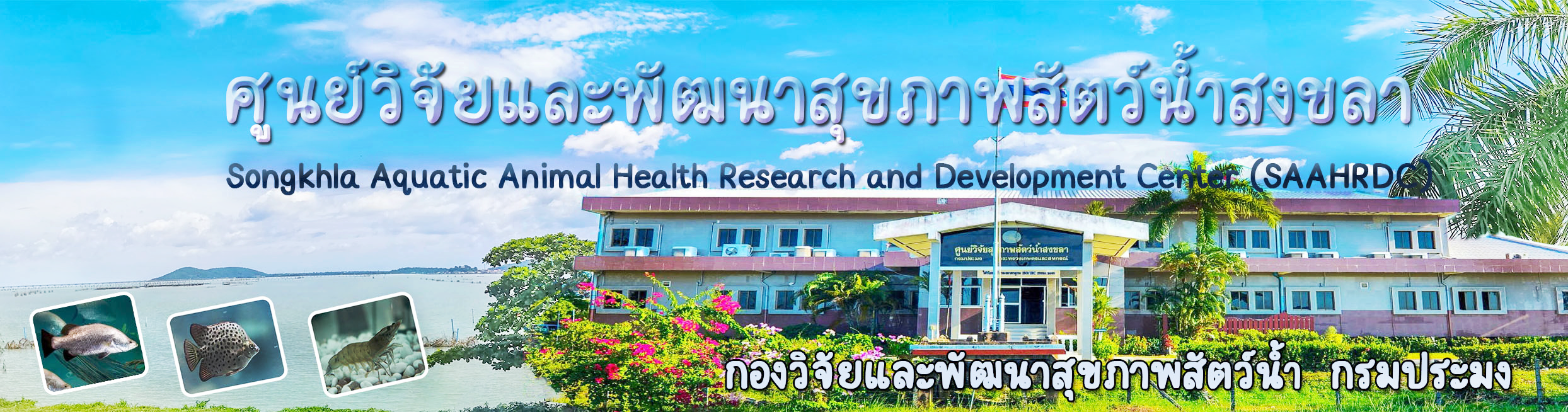 ศพส.สงขลา