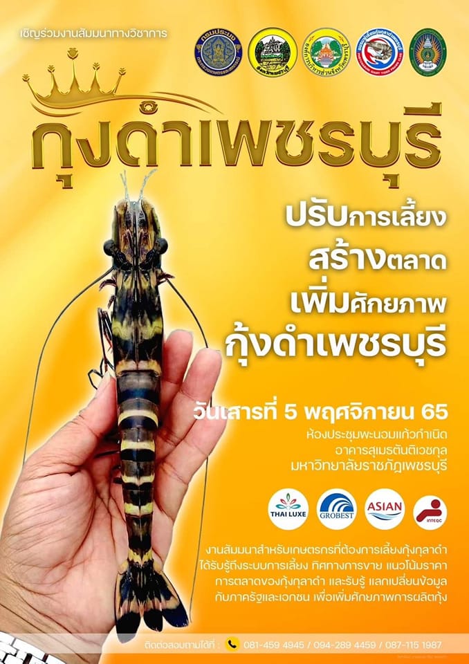 ขอเชิญร่วมงาน ... 