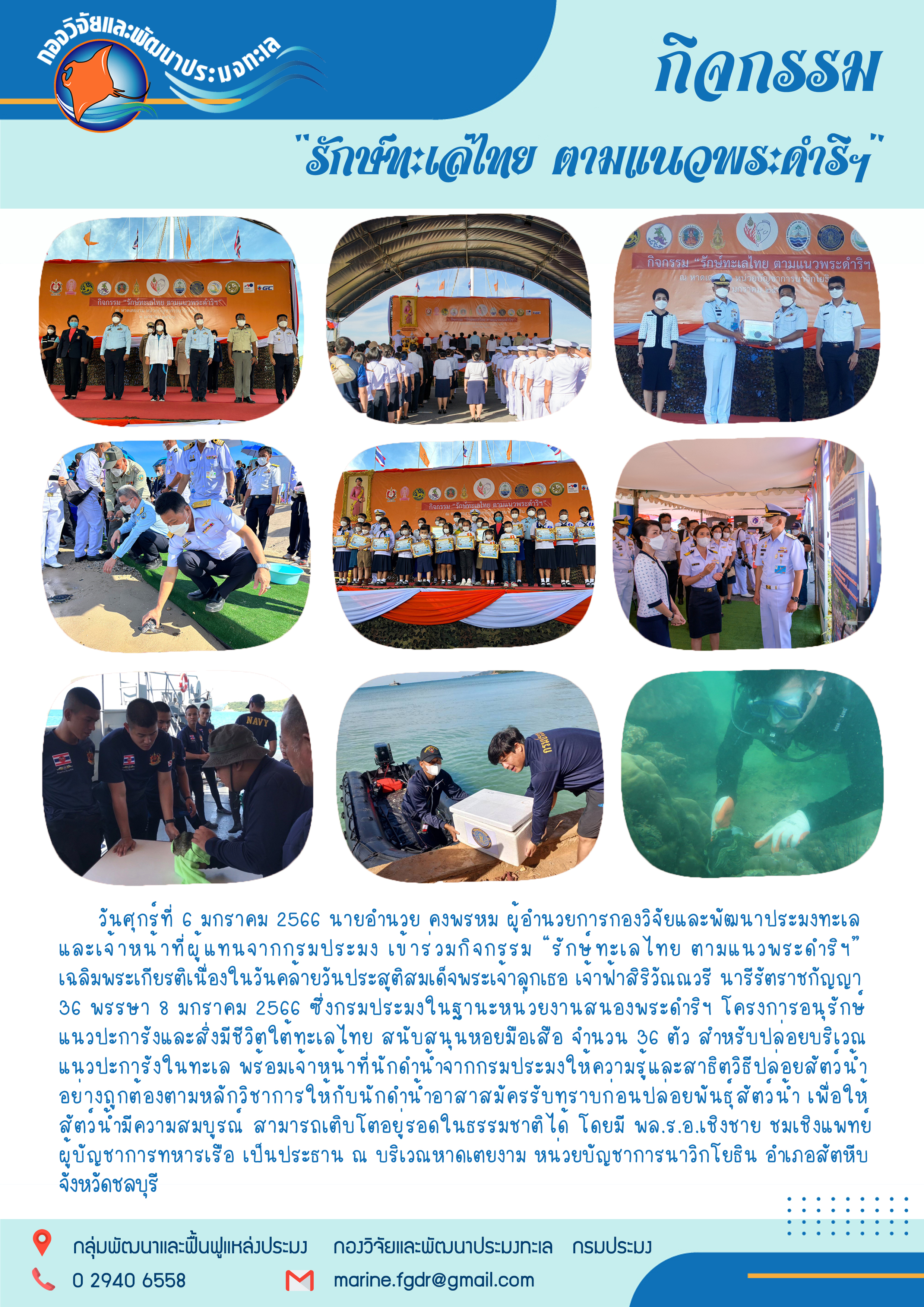 วันศุกร์ที่ 6 มกราคม 2566 นายอำนวย คงพรหม ผู้อำนวยการกองวิจัยและพัฒนาประมงทะเลและเจ้าหน้าที่ผู้แทนจากกรมประมง เข้าร่วมกิจกรรม “รักษ์ทะเลไทย ตามแนวพระราชดำริฯ” เฉลิมพระเกียนติเนื่องในวันคล้ายวันประสูติสมเด็จพระลูกเธอ เจ้าฟ้าสิริวัณณวรี นารีรัตราขกัญญา 36 พรรษา 8 มกราคม 2566 ซึ่งกรมประมงในฐานะหน่วยงานสนองพระดำริฯ โครงการอนุรักษ์แนวปะการังและสิ่งมีชีวิตใต้ทะเลไทย สนับสนุนหอยมือเสือ จำนวน 36 ตัว สำรับบริเวณแนวปะการังในทะเล พร้อมเจ้าหน้าที่นักดำน้ำจากกรมประมงให้ความรู้และสาธิตวิธีปล่อยสัตว์น้ำอย่างถูกต้องตามหลักวิชาการให้กับนักดำน้ำอาสาสมัครรับทราบก่อนปล่อยพันธุ์สัตว์น้ำ เพื่อให้สัตว์น้ำมีความอุดมสมบูรณ์ สามารถเติบโตอยู่รอดในธรรมชาติ โดยมี พล.ร.อ.เชิงชาย ชมเชิงแพทย์ ผู้บัญชาการทหารเรือ เป็นประธาน ณ บริเวณหาดเตยงาม หน่วยบัญชาการนาวิกโยธิน อำเภอสัตหีบ จังหวัดชลบุรี..คลิก