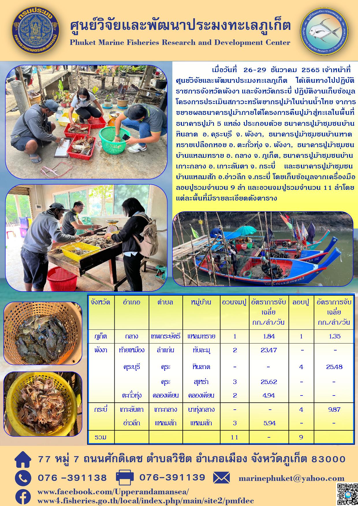 เมื่อวันที่ 26-29 ธันวาคม 2565 เจ้าหน้าที่ศูนย์วิจัยและพัฒนาประมงทะเลภูเก็ต ได้เดินทางไปปฏิบัติราชการจังหวัดพังงา และจังหวัดกระบี่ ปฏิบัติงานเก็บข้อมูลโครงการประเมินสภาวะทรัพยากรปูม้าในน่านน้ำไทย จากการขยายผลธนาคารปูม้าภายใต้โครงการคืนปูม้าสู่ทะเลในพื้นที่ธนาคารปูม้า 5 แหล่ง ประกอบด้วย ธนาคารปูม้าชุมชนบ้านหินลาด อ. คุระบุรี จ. พังงา ธนาคารปูม้าชุมชนบ้านหินลาด อ. คุระบุรี จ. พังงา ธนาคารปูม้าชุมชนบ้านหาดทรายเปลือกหอย อ. ตะกั่วทุ่ง จ. พังงา ธนาคารปูม้าชุมชนบ้านแหลมทราย อ. ถลาง จ. ภูเก็ต ธนาคารปูม้าชุมชนบ้านเกาะกลาง อ. เกาะลันตา จ. กระบี่ และธนาคารปูม้าชุมชนบ้านแหลมสัก อ. อ่าวลึก จ. กระบี่ โดยเก็บข้อมูลจากเครื่องมือลอบปูรวมจำนวน 9 ลำ และอวนจมปูรวมจำนวน 11 ลำโดยแต่ละพื้นที่มีรายละเอียดดังตาราง..คลิก