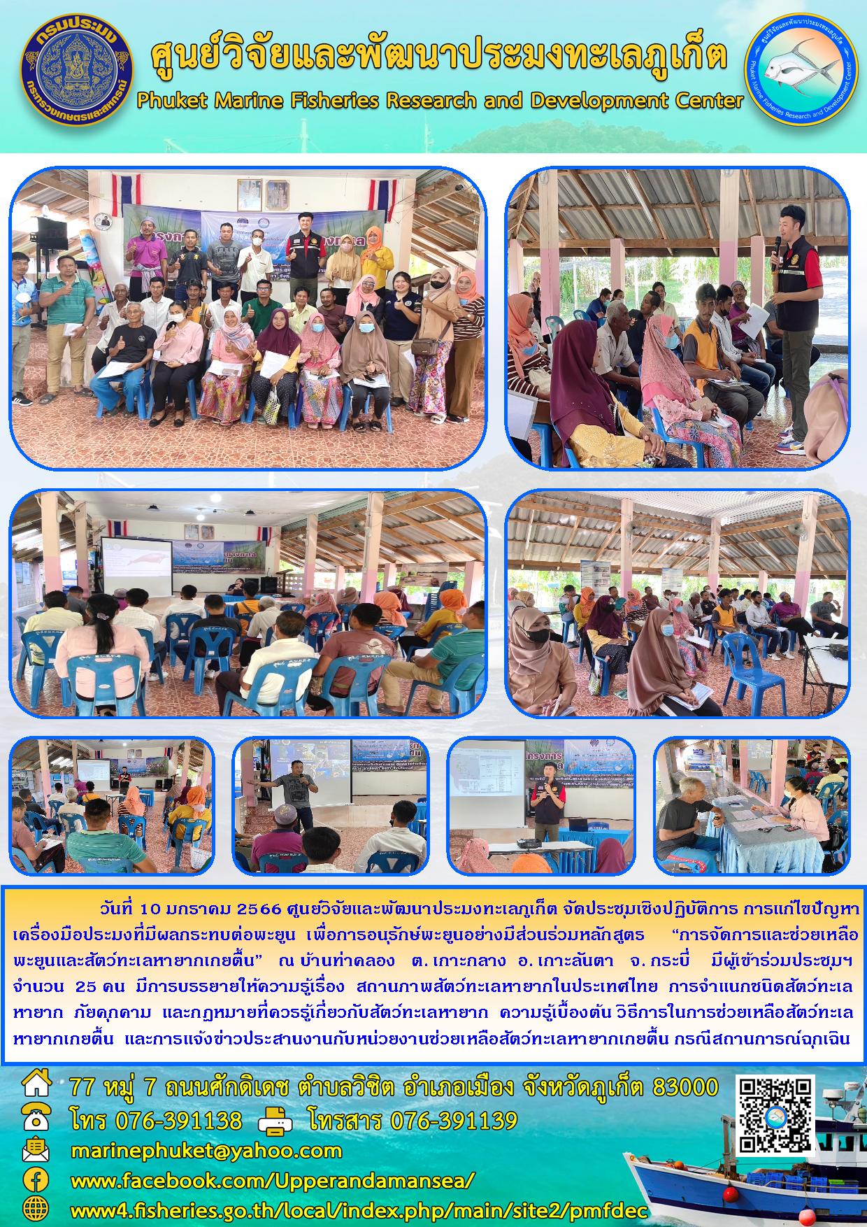 วันที่ 10 มกราคม 2566 ศูนย์วิจัยและพัฒนาประมงทะเลภูเก็ต จัดประชุมเชิงปฏิบัติการ การแก้ไขปัญหาเครืองมือประมงที่มีผลต่อพะยูน เพื่อการอนุรักษ์พะยูนอย่างมีส่วนร่วมหลักสูตร “การจัดการและช่วยเหลือพะยูนและสัตว์ทะเลหายากเกยตื้น” ณ บ้านท่าคลอง ต. เกาะกลาง อ. เกาลันตา จ. กระบี่ มีผู้เข้าร่วมประชุมฯ จำนวน 25 คน มีการบรรยายให้ความรู้เรื่อง สถานภาพสัตว์ทะเลหายากในประเทศไทย การจำแนกชนิดสัตว์ทะเลหายาก ภัยคุกคาม และกฎหมายที่ควรรู้เกี่ยวกับสัตว์ทะเลหายาก ความรู้เบื้องต้น วิธีการช่วยเหลือสัตว์ทะเลหายากเกยตื้น และการแจ้งข่าวประสานงานกับหน่วยงานช่วยเหลือสัตว์ทะเลหายากเกยตื้น กรณีสถานการณ์ฉุกเฉิน..คลิก