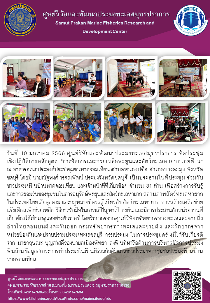 วันที่ 10 มกราคม 2566 ศูนย์วิจัยและพัฒนาประมงทะเลสมุทรปราการ จัดประชุมเชิงปฏิบัติการหลักสูตร “การจัดการและช่วยเหลือพะยูนสัตว์ทะเลหายากเกยตื้น” ณ อาคารอเนกประสงค์ประจำชุมชนหาดจอมเทียน ตำบลหนองปรือ อำเภอบางละมุง จังหวัดชลบุรี โดยมี นายณัฐพงศ์ วรรณพัฒน์ ประมงจังหวัดชลบุรี เป็นประธานในที่ประชุม ร่วมกับชาวประมงพื้นบ้านหาดจอมเทียน และเจ้าหน้าที่ที่เกี่ยวข้อง จำนวน 31 ท่าน เพื่อสร้างการรับรู้และการยอมรับของชุมชนในการอนุรักษ์พะยูนและสัตวฺทะเลหายาก สถานภาพสัตว์ทะเลหายากในประเทศไทย ภัยคุกคาม และกฎหมายที่ควรรู้เกี่ยวกับสัตว์ทะเลหายาก..คลิก
