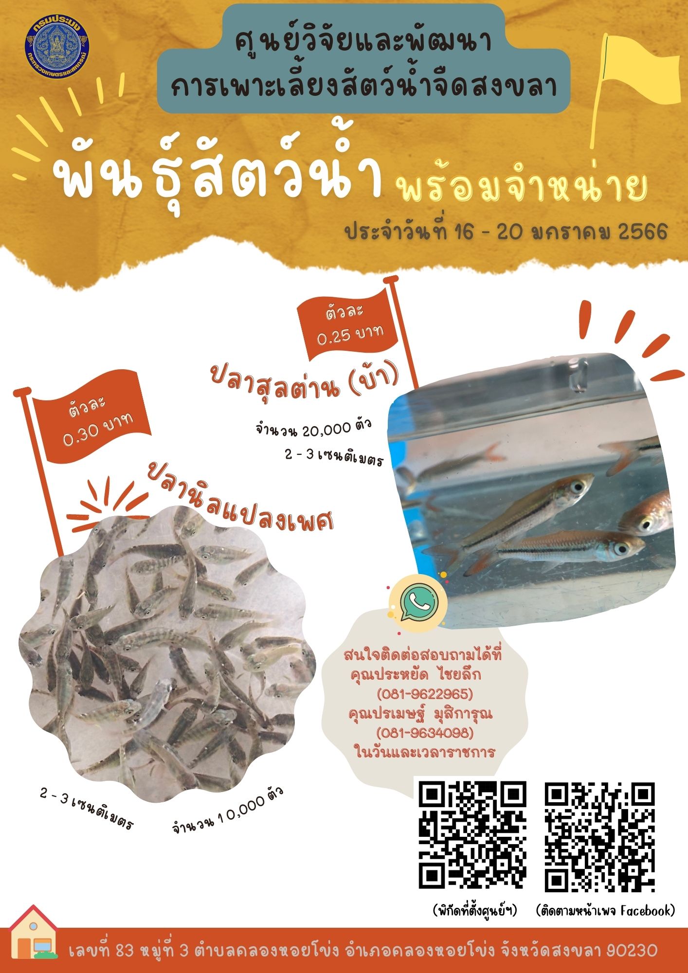 พันธุ์สัตว์น้ำพร้อมจำหน่าย