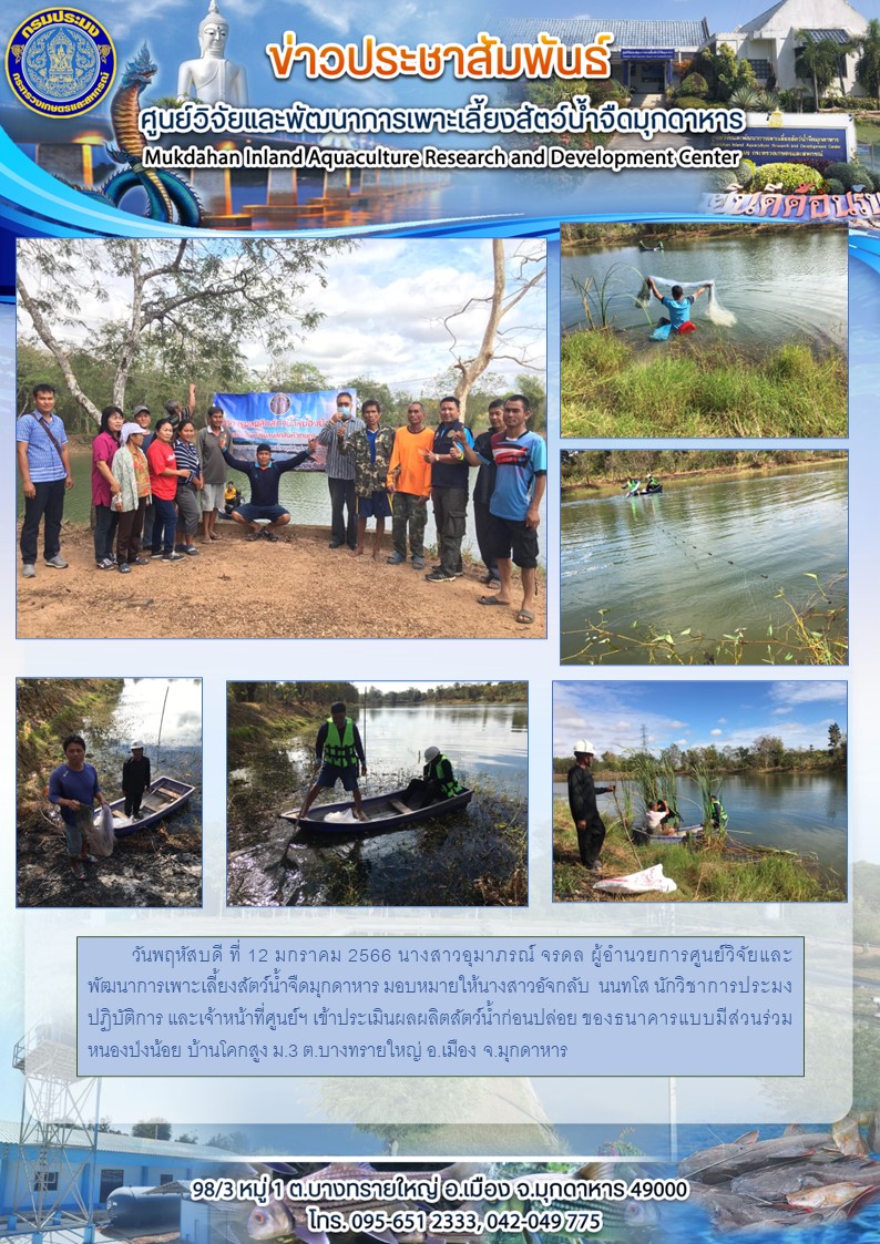 วันพฤหัสบดี ที่ 12 มกราคม 2566 นางสาวอุมาภรณ์ จรดล ผู้อำนวยการศูนย์วิจัยและพัฒนาการเพาะเลี้ยงสัตว์น้ำจืดมุกดาหาร มอบหมายให้นางสาวอัจกลับ  นนทโส นักวิชาการประมงปฏิบัติการ และเจ้าหน้าที่ศูนย์ฯ เข้าประเมินผลผลิตสัตว์น้ำก่อนปล่อย ของธนาคารแบบมีส่วนร่วมหนองป่งน้อย บ้านโคกสูง ม.3 ต.บางทรายใหญ่ อ.เมือง จ.มุกดาหาร..คลิก