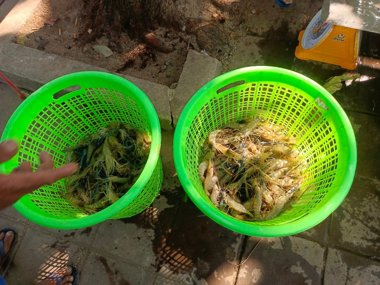 ตรวจสอบสินค้าส่งออก..คลิก