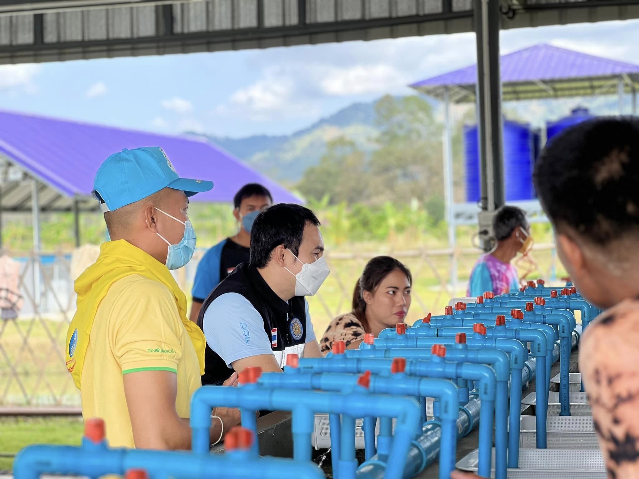 ผนึกกำลังไตรภาคี โครงการโรงเพาะฟักพระราชทาน..คลิก