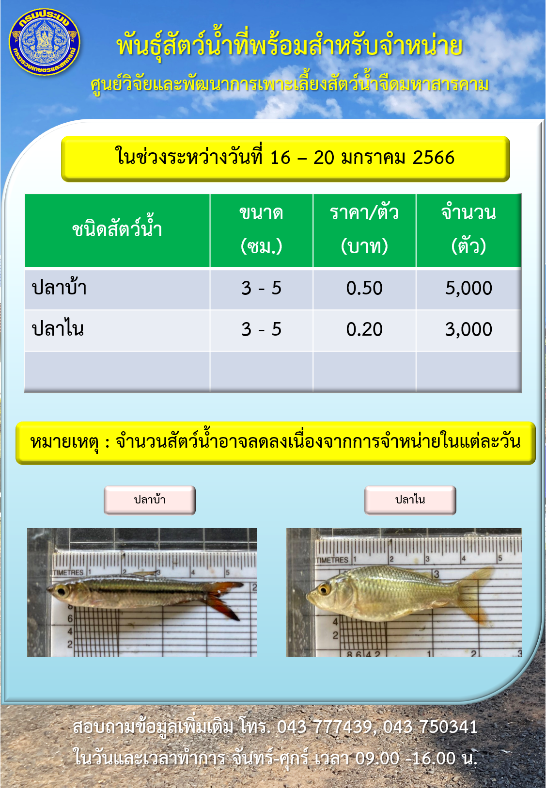 พันธุ์สัตว์น้ำที่พร้อมสำหรับจำหน่าย ศูนย์วิจัยและพัฒนาการเพาะเลี้ยงสัตว์น้ำจืดมหาสารคาม..คลิก
