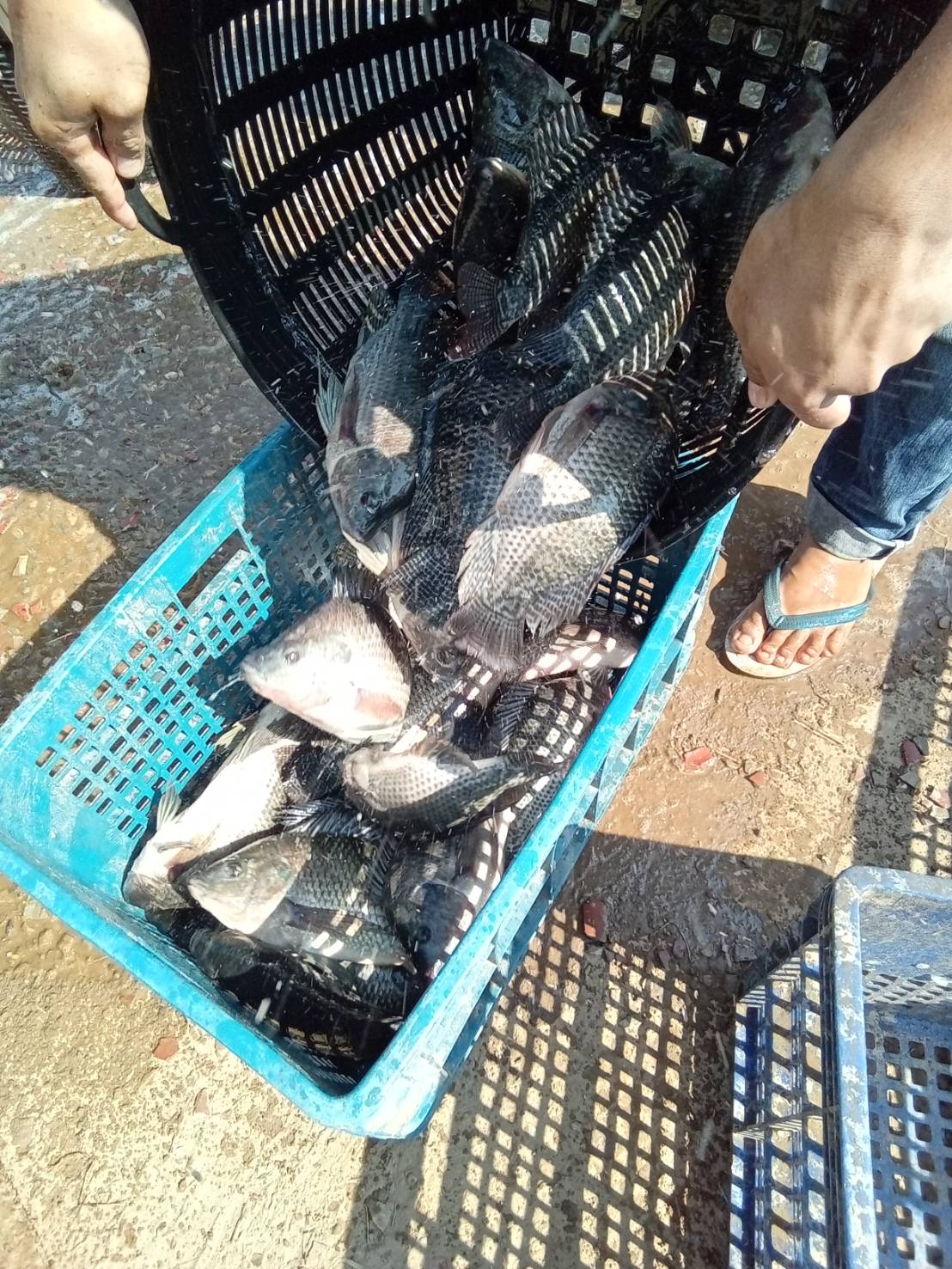 ตรวจสอบสินค้าส่งออก..คลิก