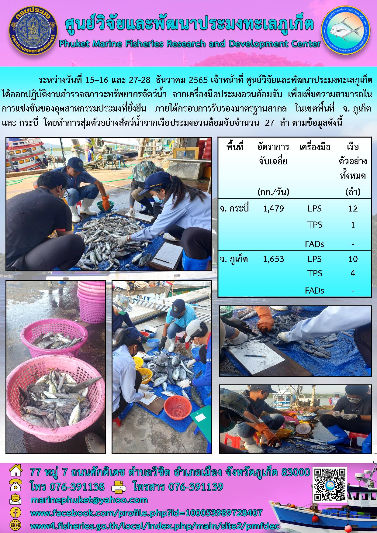 ระหว่างวันที่ 15-16 และ 27-28 ธันวาคม 2565 เจ้าหน้าที่  ศูนย์วิจัยและพัฒนาประมงทะเลภูเก็ต ได้ออกปฏิบัติงานสำรวจสภาวะทรัพยากรสัตว์น้ำ จากเครื่องมือประมงอ้วนล้อมจับ เพื่อเพิ่มความสามารถในการแข่งขันของอุตสาหกรรมประมงที่ยั่งยืน ภายใต้กรอบการรับรองมาตรฐานสากล ในเขตพื้นที่ จ. ภูเก็ต และ กระบี่ โดยทำการสุ่มตัวอย่างสัตว์น้ำจากเรือประมงอวนล้อมจับจำนวน 27 ลำ ตามข้อมูลดังนี้..คลิก