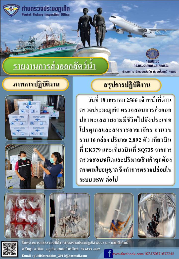 วันที่ 18 มกราคม 2566 เจ้าหน้าที่ด่านตรวจประมงภูเก็ต ตรวจสอบการส่งออกปลาทะเลสวยงามไปยังประเทศโปรตุเกส และสหราชอาณาจักร จำนวน 16 กล่อง ปริมาณ 2,892 ตัว เที่ยวบิน EK379 และ เที่ยวบินที่ SQ735 จากการตรวจสอบชนิด และปริมาณสินค้าถูกต้องตรงตามใบอนุญาต จึงทำการตรวจปล่อยในระบบ FSW ต่อไป..คลิก
