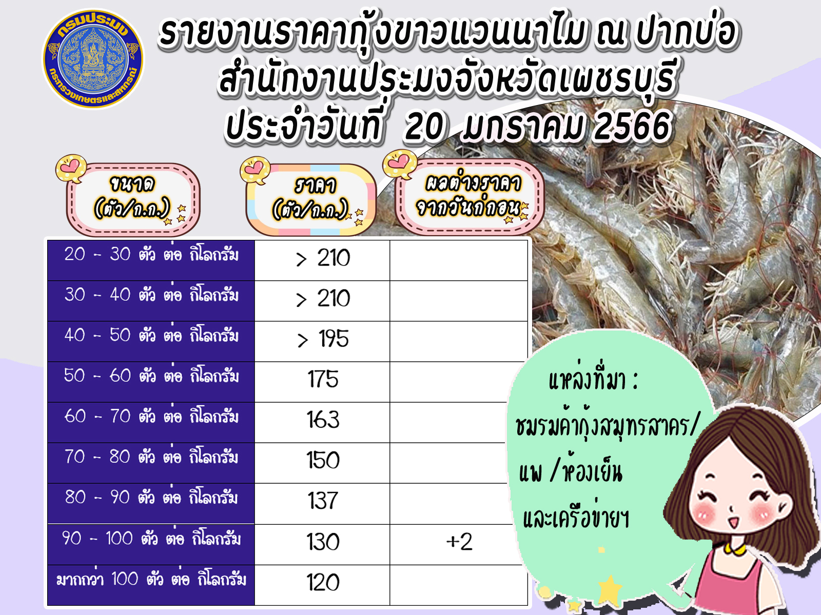 ราคากุ้งขาวแวนนาไม ประจำวันที่ 20 มกราคม 2566..คลิก