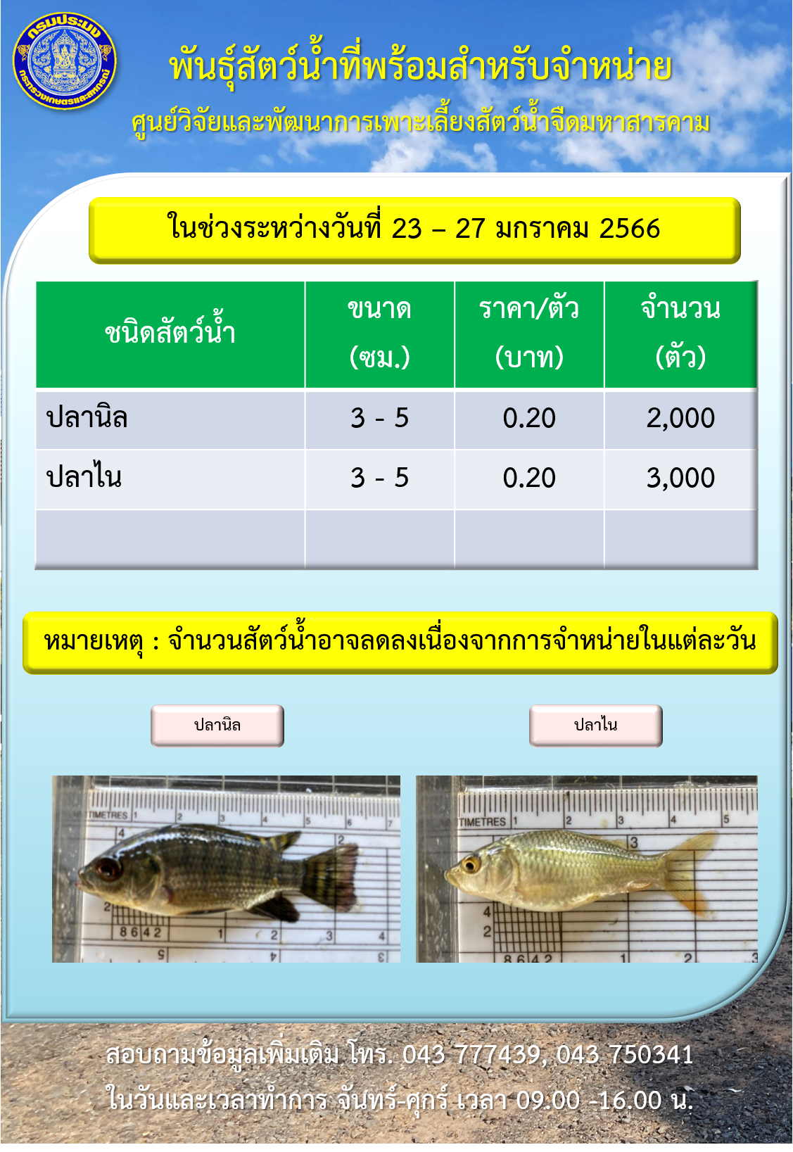 พันธุ์สัตว์น้ำที่พร้อมสำหรับจำหน่าย ระหว่างวันที่ 23 – 27 มกราคม 2566..คลิก