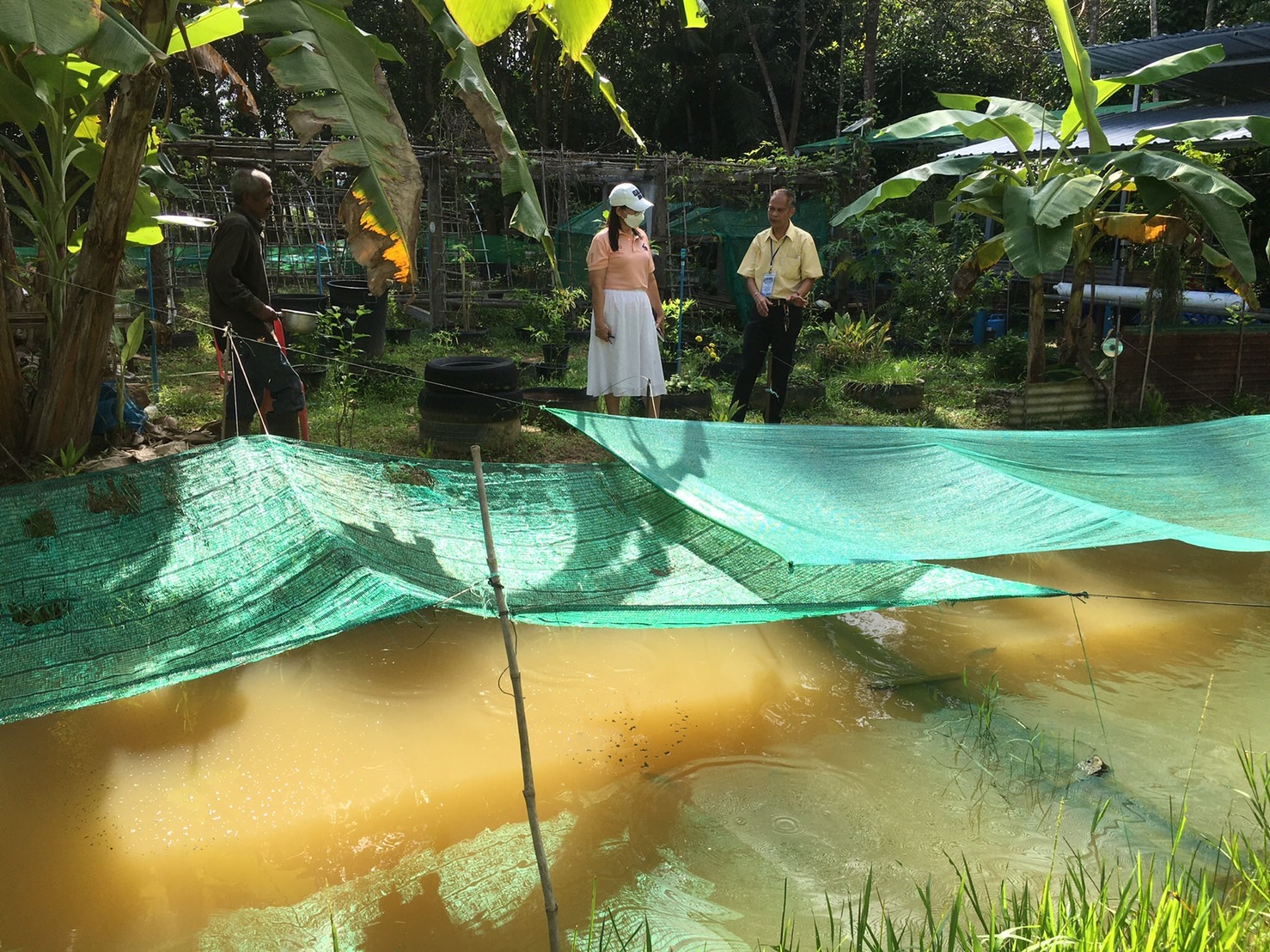 การตรวจประเมินศูนย์เรียนรู้การเพิ่มประสิทธิภาพการผลิตสินค้าเกษตร ระดับจังหวัดยะลา