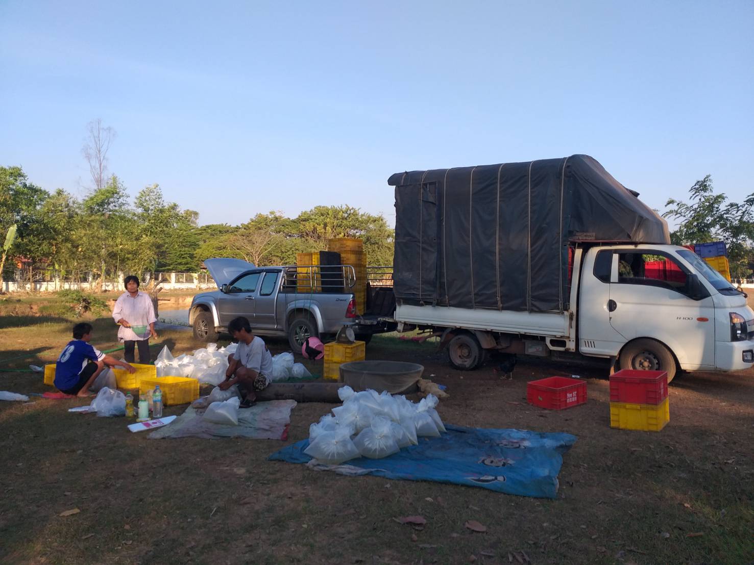 ตรวจสอบลูกพันธุ์สัตว์น้ำ ส่งออกไปยัง สปป.ลาว..คลิก