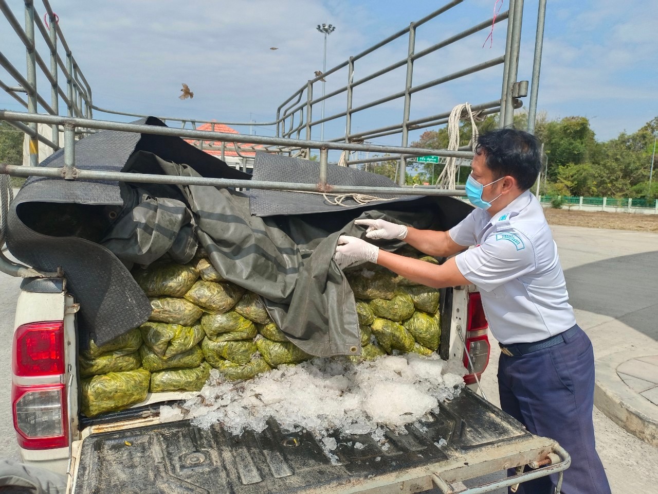 ตรวจสินค้าประมงที่นำเข้า ส่งออก ทางจุดผ่านแดนถาวรบ้านคลองลึก..คลิก