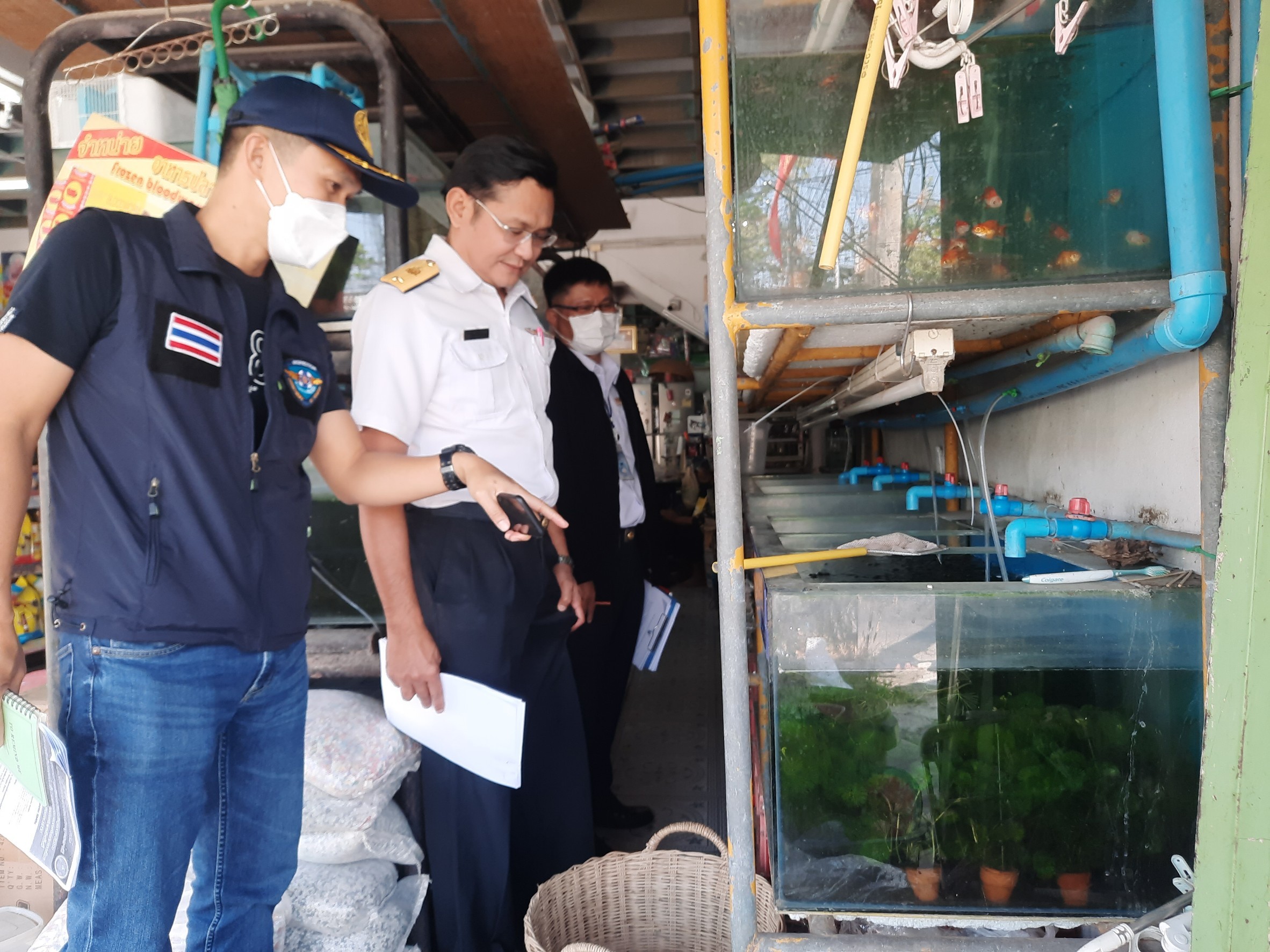 ตรวจสอบสัตว์น้ำที่ห้ามเพาะเลี้ยงฯ..คลิก