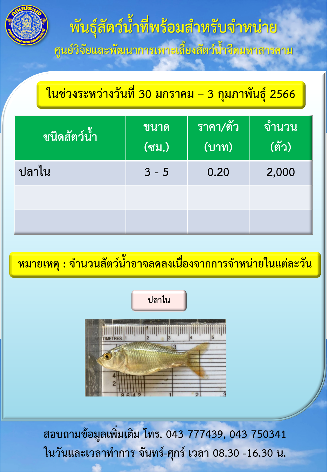 พันธุ์สัตว์น้ำที่พร้อมสำหรับจำหน่าย ศูนย์วิจัยและพัฒนาการเพาะเลี้ยงสัตว์น้ำจืดมหาสารคาม..คลิก