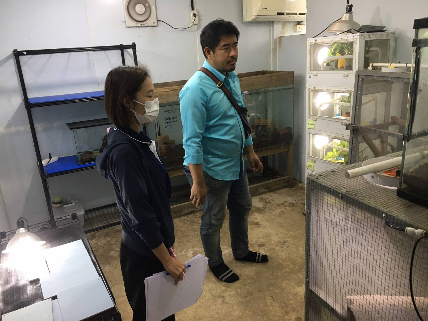 เข้าตรวจประเมินสถานประกอบการเพาะเลี้ยงสัตว์น้ำเพื่อการส่งออก (สอ.3) ในการตรวจสุขภาพอนามัยฟาร์มเพื่อต่ออายุการรับรองสุขอนามัยฟาร์มกบสวยงาม ของ ศรีบุญชูฟาร์ม