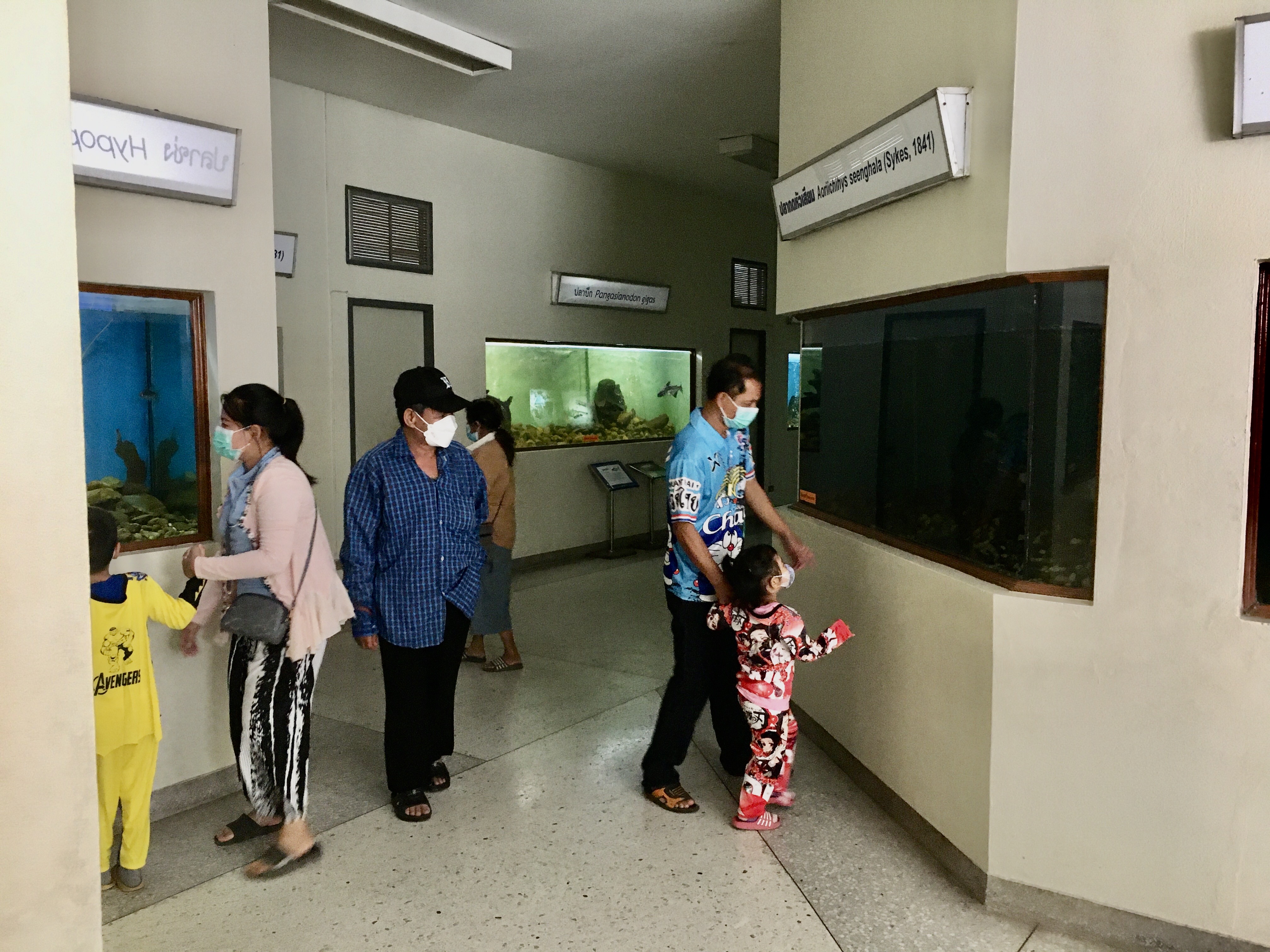เปิดพิพิธภัณฑ์สถานแสดงสัตว์น้ำ พิพิธภัณฑ์ปลาบึก ให้กับผู้ปกครองและเด็กๆ ในวันเด็กแห่งชาติ  ประจำปี ๒๕๖๖