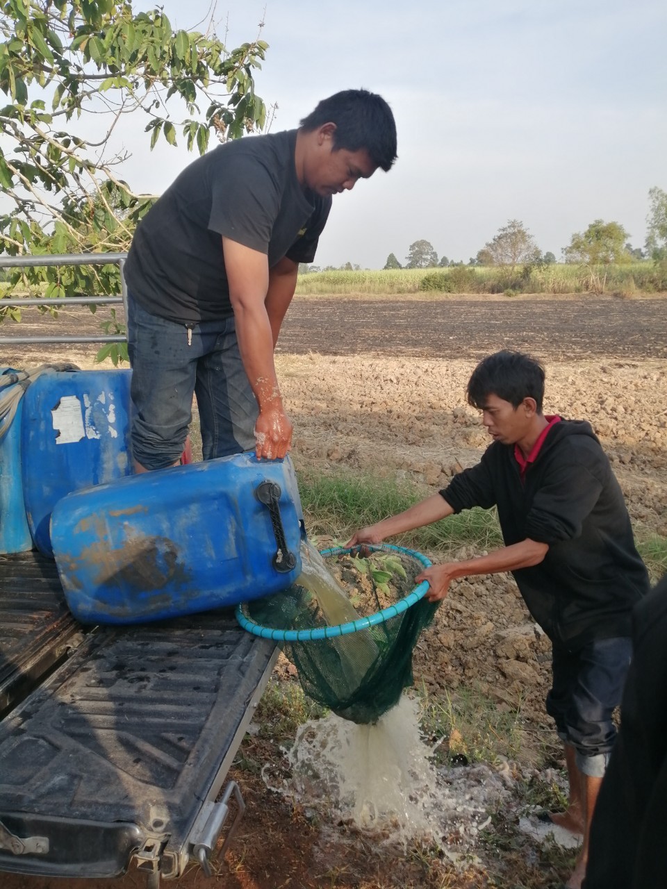 ตรวจรับและปล่อยพันธุ์กุ้งก้ามกราม 30 มกราคม 2566