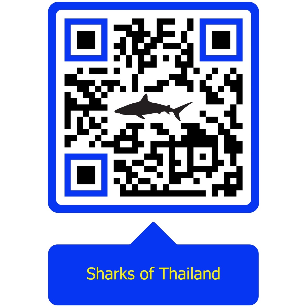 ??ประชาสัมพันธ์ โปสเตอร์สัตว์น้ำ..คลิก