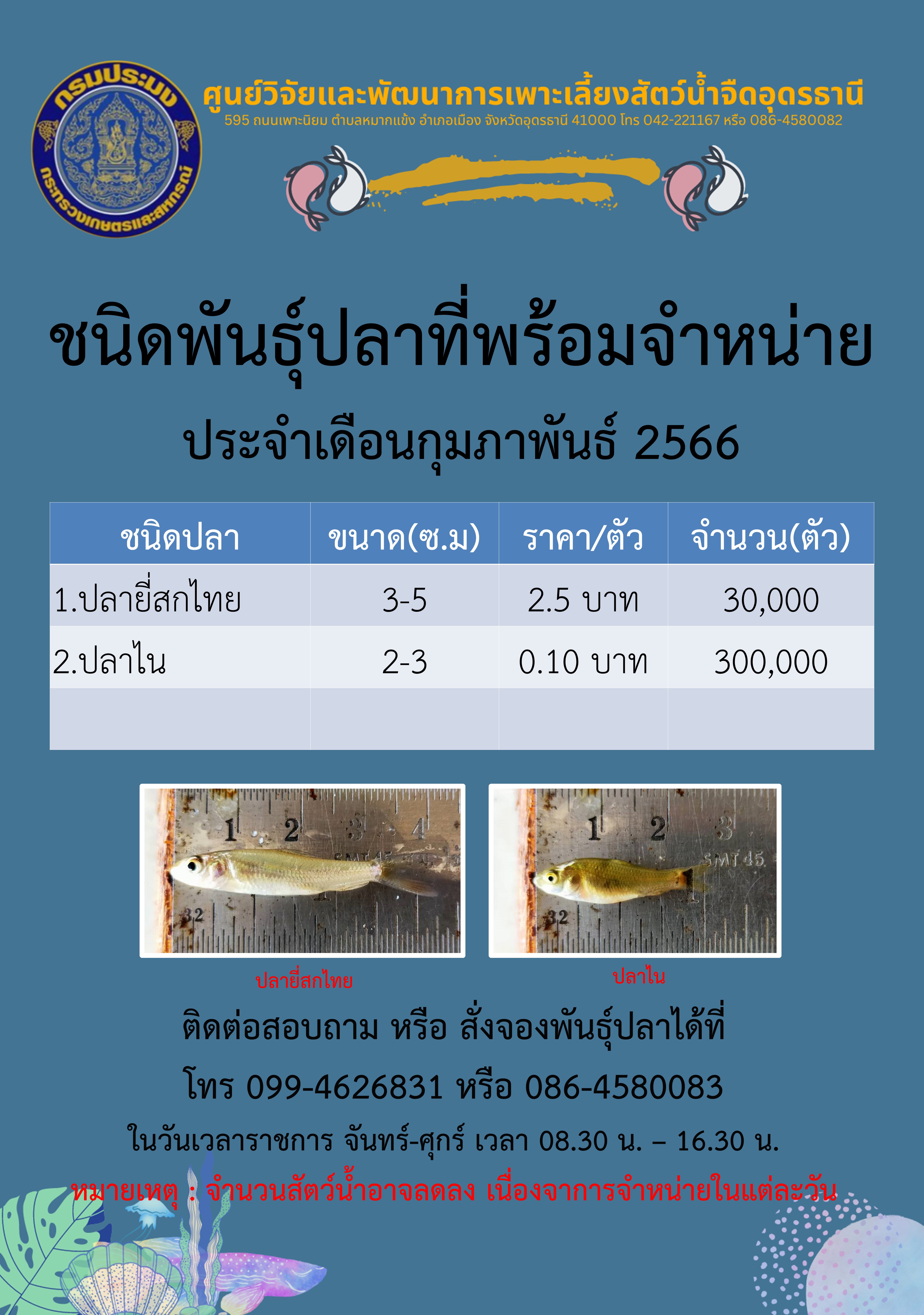 ปลาพร้อมจำหน่าย ประจำเดือนกุมภาพันธ์ 2566..คลิก