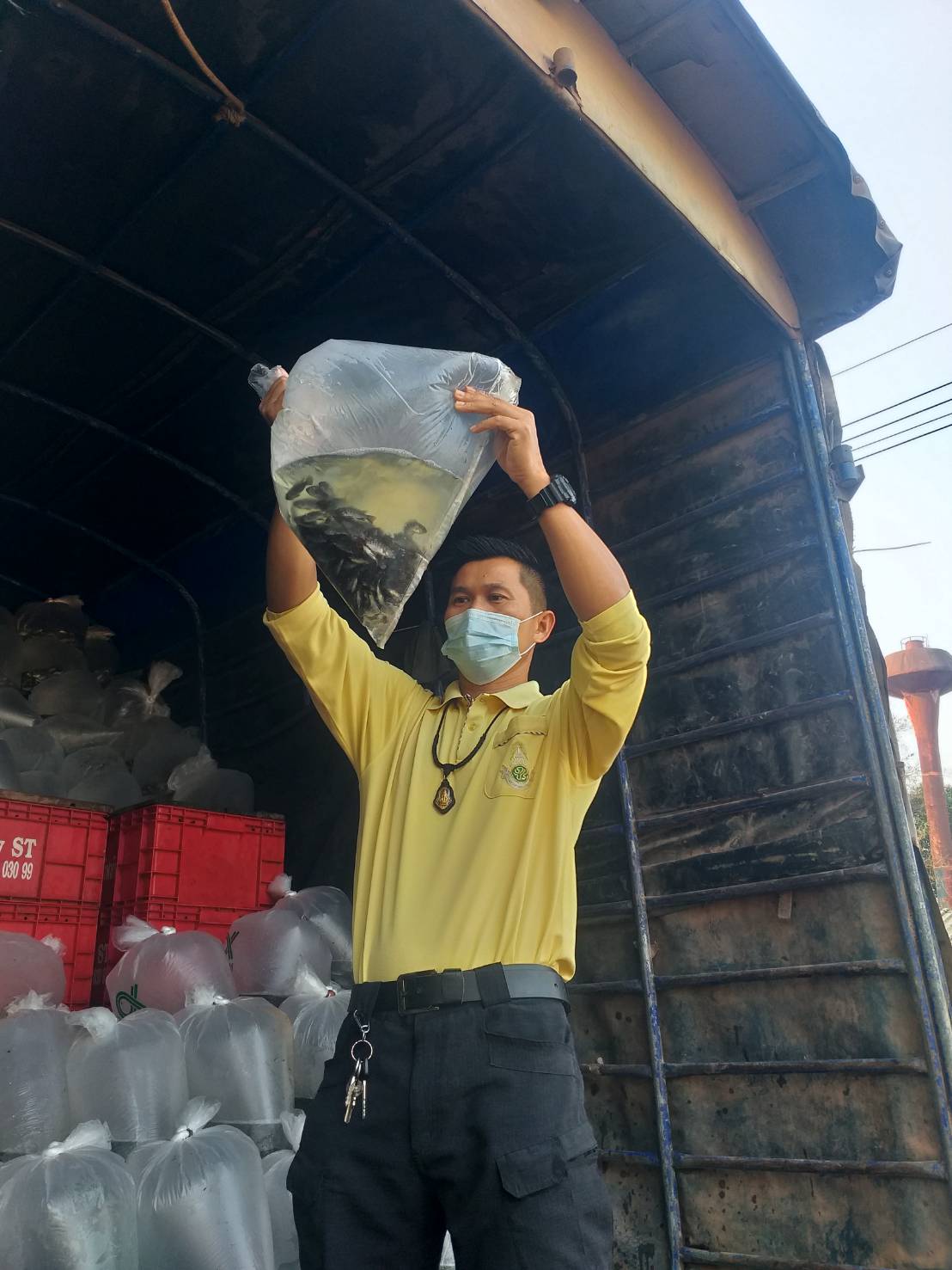 ตรวจสอบสินค้าประมง ส่งออกไปยัง สปป.ลาว..คลิก