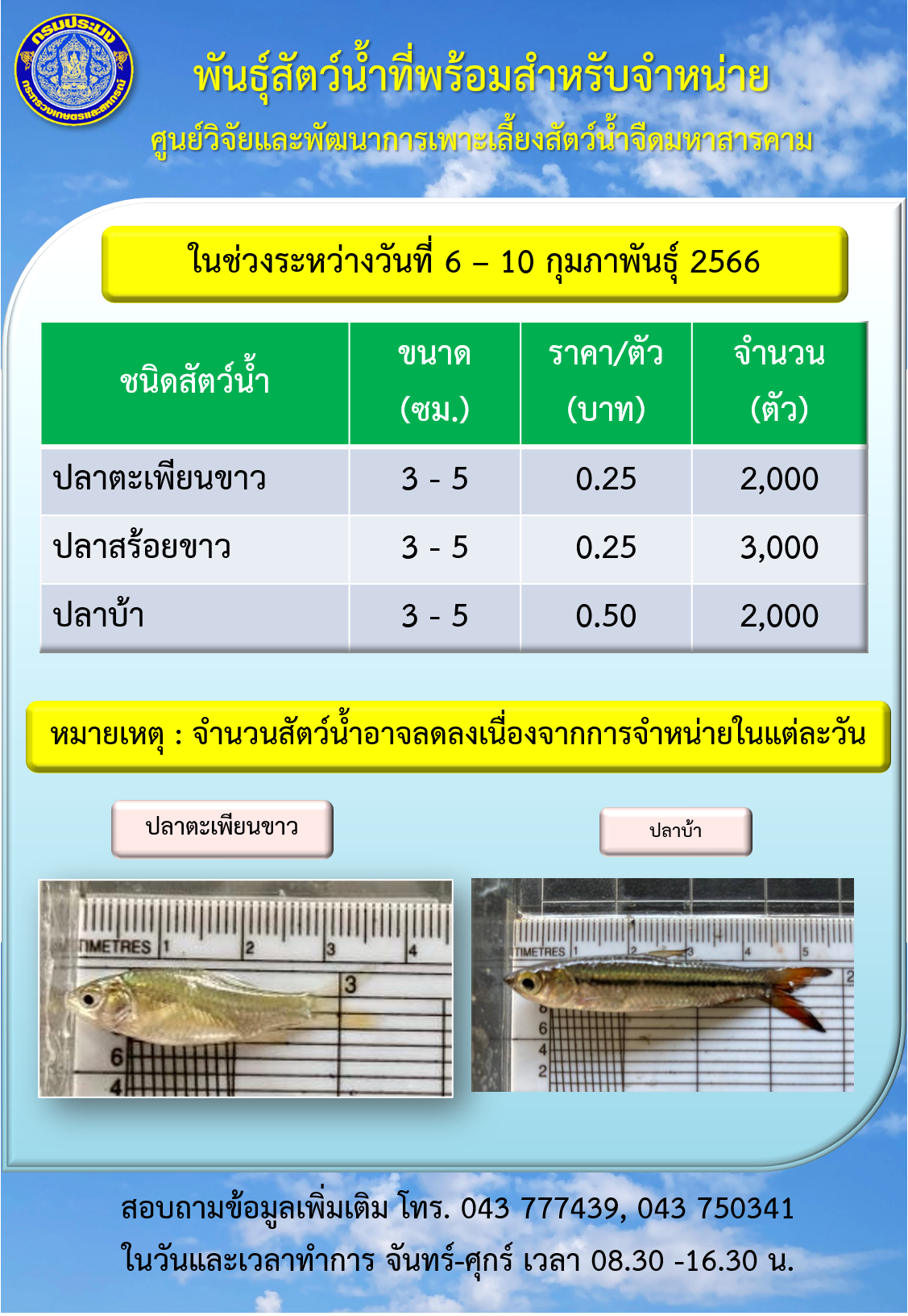 พันธุ์สัตว์น้ำที่พร้อมสำหรับจำหน่าย ศูนย์วิจัยและพัฒนาการเพาะเลี้ยงสัตว์น้ำจืดมหาสารคาม..คลิก