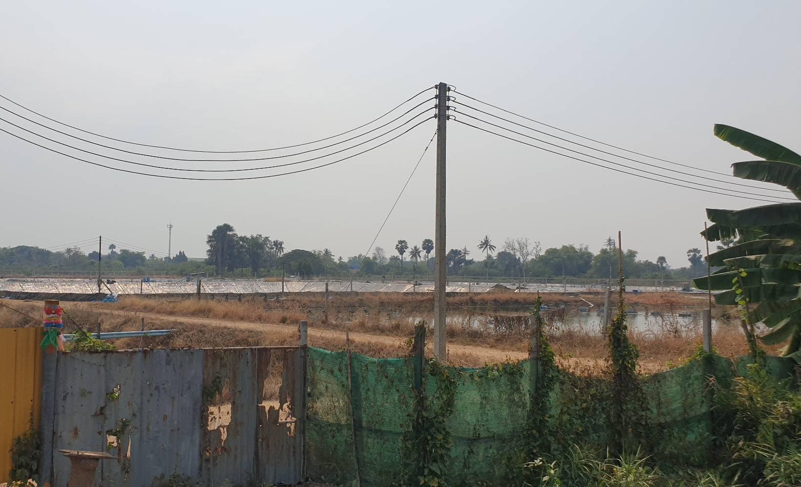 เข้าติดตาม และตรวจสอบการเพาะเลี้ยงควบคุมในพื้นที่อำเภอโพธาราม และอำเภอบางแพ จังหวัดราชบุรี..คลิก