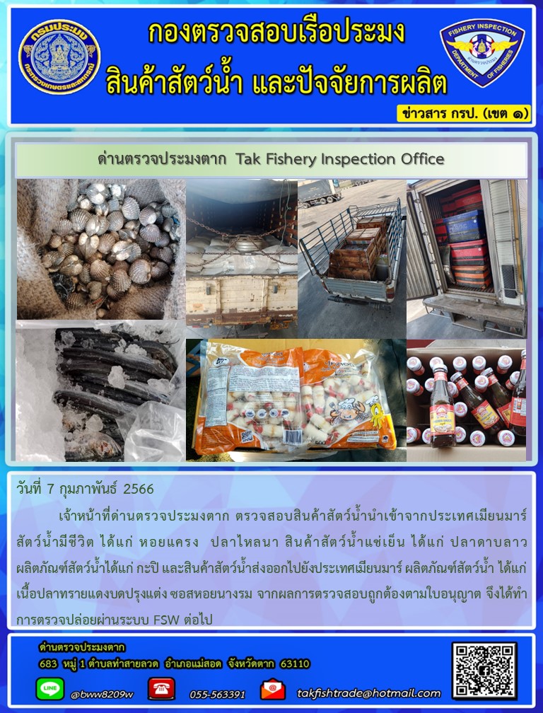 วันที่ 7 กุมภาพันธ์ 2566           เจ้าหน้าที่ด่านตรวจประมงตาก ตรวจสอบสินค้าสัตว์น้ำนำเข้าจากประเทศเมียนมาร์ สัตว์น้ำมีชีวิต ได้แก่ หอยแครง  ปลาไหลนา สินค้าสัตว์น้ำแช่เย็น ได้แก่ ปลาดาบลาว ผลิตภัณฑ์สัตว์น้ำได้แก่ กะปิ และสินค้าสัตว์น้ำส่งออกไปยังประเทศเมียนมาร์ ผลิตภัณฑ์สัตว์น้ำ ได้แก่ เนื้อปลาทรายแดงบดปรุงแต่ง ซอสหอยนางรม จากผลการตรวจสอบถูกต้องตามใบอนุญาต จึงได้ทำการตรวจปล่อยผ่านระบบ FSW ต่อไป..คลิก