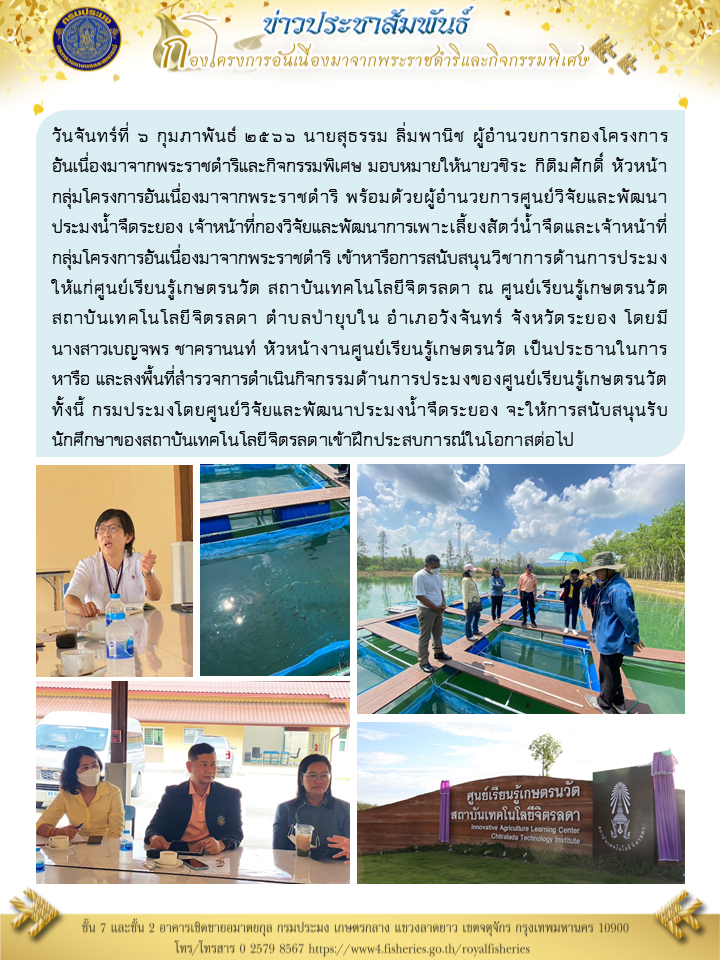วันจันทร์ที่ ๖ กุมภาพันธ์ ๒๕๖๖ นายสุธรรม ลิ่มพานิช ผู้อำนวยการกองโครงการอันเนื่องมาจากพระราชดำริและกิจกรรมพิเศษ มอบหมายให้นายวชิระ กิติมศักดิ์ หัวหน้ากลุ่มโครงการอันเนื่องมาจากพระราชดำริ พร้อมด้วยผู้อำนวยการศูนย์วิจัยและพัฒนาประมงน้ำจืดระยอง เจ้าหน้าที่กองวิจัยและพัฒนาการเพาะเลี้ยงสัตว์น้ำจืด และเจ้าหน้าที่กลุ่มโครงการอันเนื่องมาจากพระราชดำริ เข้าหารือการสนับสนุนวิชาการด้านการประมงให้แก่ศูนย์เรียนรู้เกษตรนวัต สถาบันเทคโนโลยีจิตรลดา ณ ศูนย์เรียนรู้เกษตรนวัต สถาบันเทคโนโลยีจิตรลดา ตำบลป่ายุบใน อำเภอวังจันทร์ จังหวัดระยองโดยมีนางสาวเบญจพร ชาครานนท์ หัวหน้างานศูนย์เรียนรู้เกษตรนวัต เป็นประธานในการหารือ และลงพื้นที่สำรวจการดำเนินกิจกรรมด้านการประมงของศูนย์เรียนรู้เกษตรนวัต ทั้งนี้ กรมประมงโดยศูนย์วิจัยและพัฒนาประมงน้ำจืดระยอง จะให้การสนับสนุนรับนักศึกษาของสถาบันเทคโนโลยีจิตรลดาเข้าฝึกประสบการณ์ในโอกาสต่อไป..คลิก