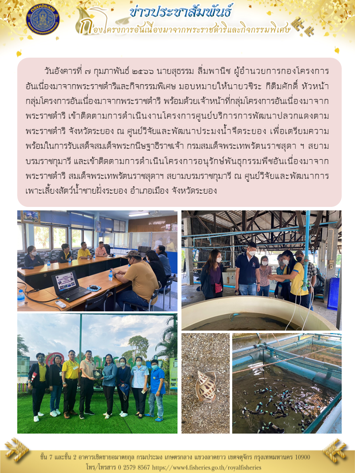 วันอังคารที่ 7 กุมภาพันธ์ ๒๕๖๖ นายสุธรรม ลิ่มพานิช ผู้อำนวยการกองโครงการอันเนื่องมาจากพระราชดำริและกิจกรรมพิเศษ มอบหมายให้นายวชิระ กิติมศักดิ์ หัวหน้ากลุ่มโครงการอันเนื่องมาจากพระราชดำริ พร้อมด้วยเจ้าหน้าที่กลุ่มโครงการอันเนื่องมาจากพระราชดำริ เข้าติดตามการดำเนินงานโครงการศูนย์บริการการพัฒนาปลวกแดงตามพระราชดำริ จังหวัดระยอง ณ ศูนย์วิจัยและพัฒนาประมงน้ำจืดระยอง เพื่อเตรียมความพร้อมในการรับเสด็จ สมเด็จพระกนิษฐาธิราชเจ้า กรมสมเด็จพระเทพรัตนราชสุดา ฯ สยามบรมราชกุมารี และเข้าติดตามการดำเนินโครงการอนุรักษ์พันธุกรรมพืชอันเนื่องมาจากพระราชดำริ สมเด็จพระเทพรัตนราชสุดาฯ สยามบรมราชกุมารี ณ ศูนย์วิจัยและพัฒนาการเพาะเลี้ยงสัตว์น้ำชายฝั่งระยอง อำเภอเมือง จังหวัดระยอง..คลิก