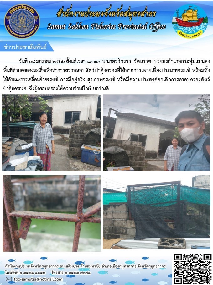 ทำการตรวจสอบสัตว์ป่าคุ้มครองที่ได้จากการเพาะเลี้ยงประเภทจระเข้..คลิก