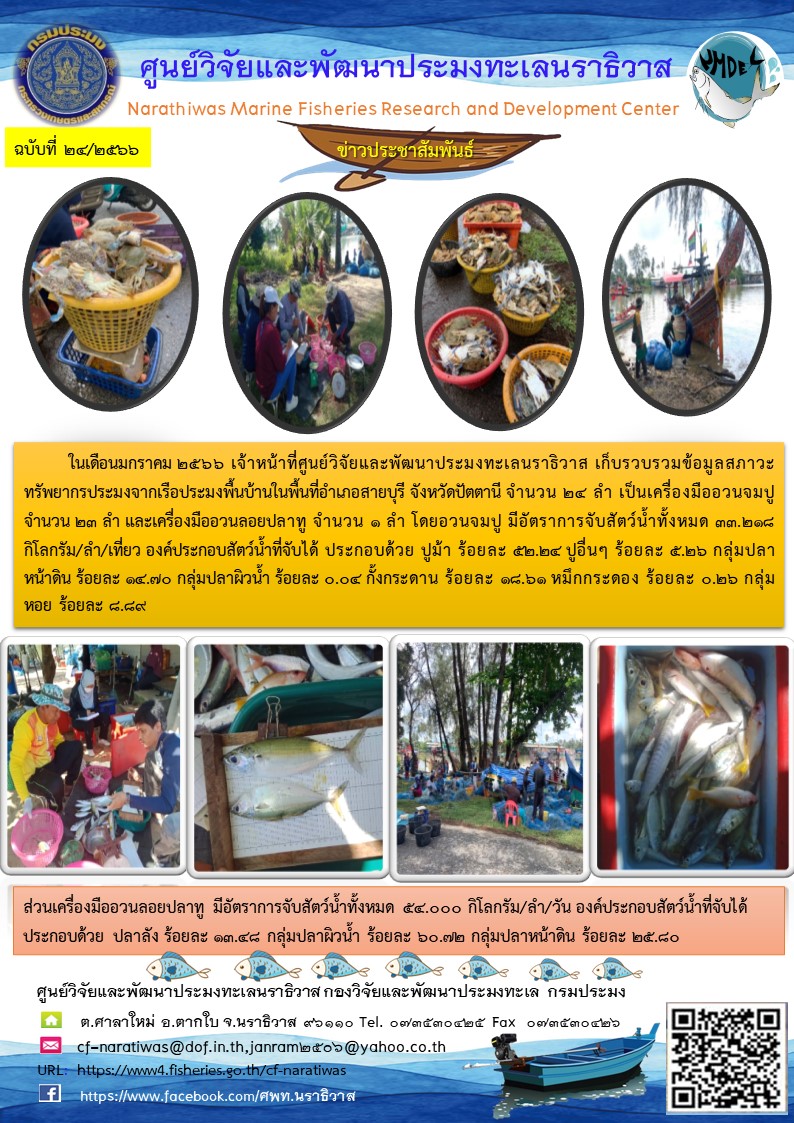 สภาวะทรัพยากรประมงจากเรือประมงพื้นบ้านในพื้นที่อำเภอสายบุรี จังหวัดปัตตานี ในเดือนมกราคม 2566..คลิก