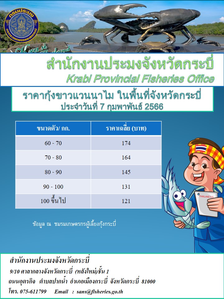 ราคากุ้งขาวประจำวันที่ 7 กุมภาพันธ์  2566..คลิก