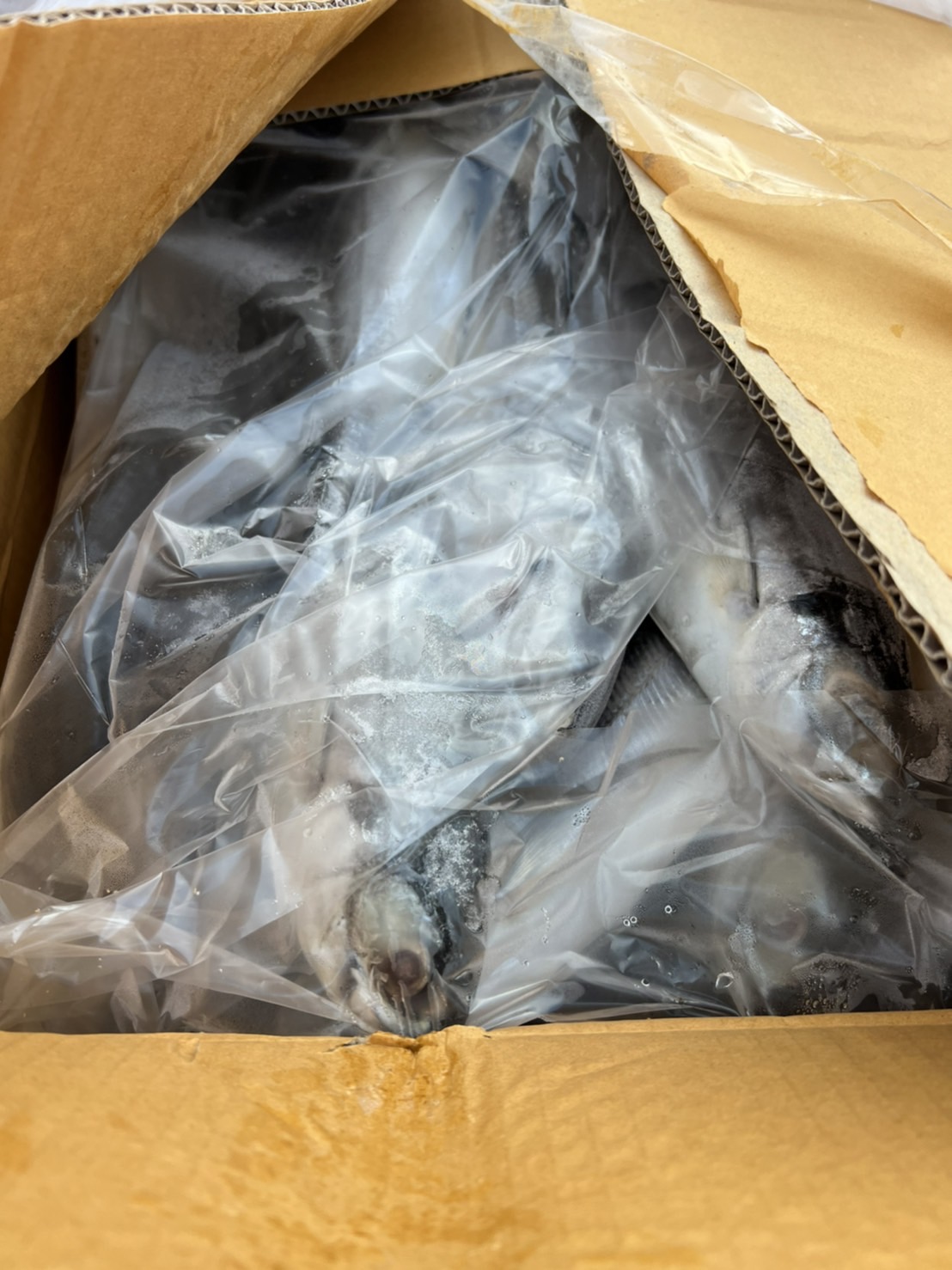 ผลการปฏิบัติงานด่านตรวจประมงสุรินทร์ วันที่ 9 กุมภาพันธ์ พ.ศ.2566 ณ จุดผ่านแดนถาวรช่องสะงำ..คลิก